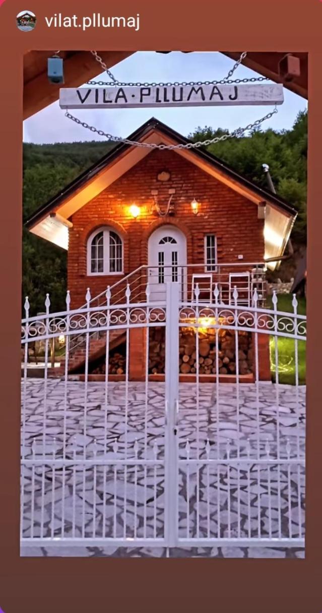 Vilat Pllumaj