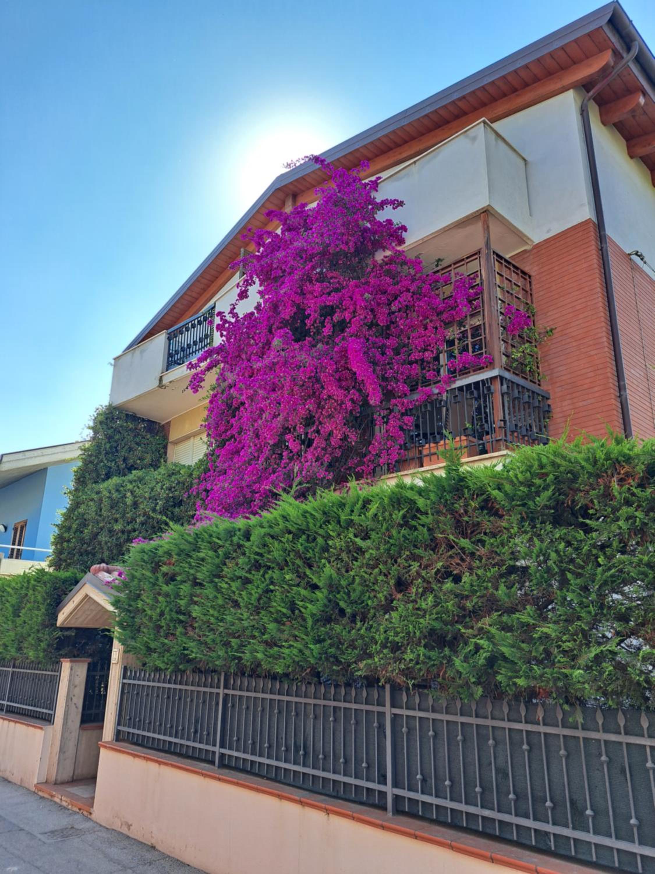 B&B Carlotta view 2