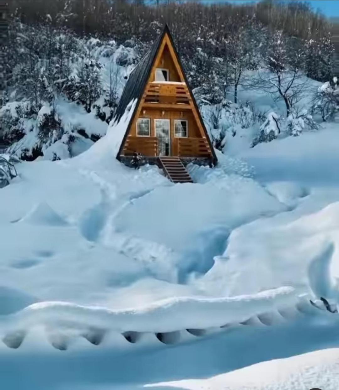 Vilat Pllumaj