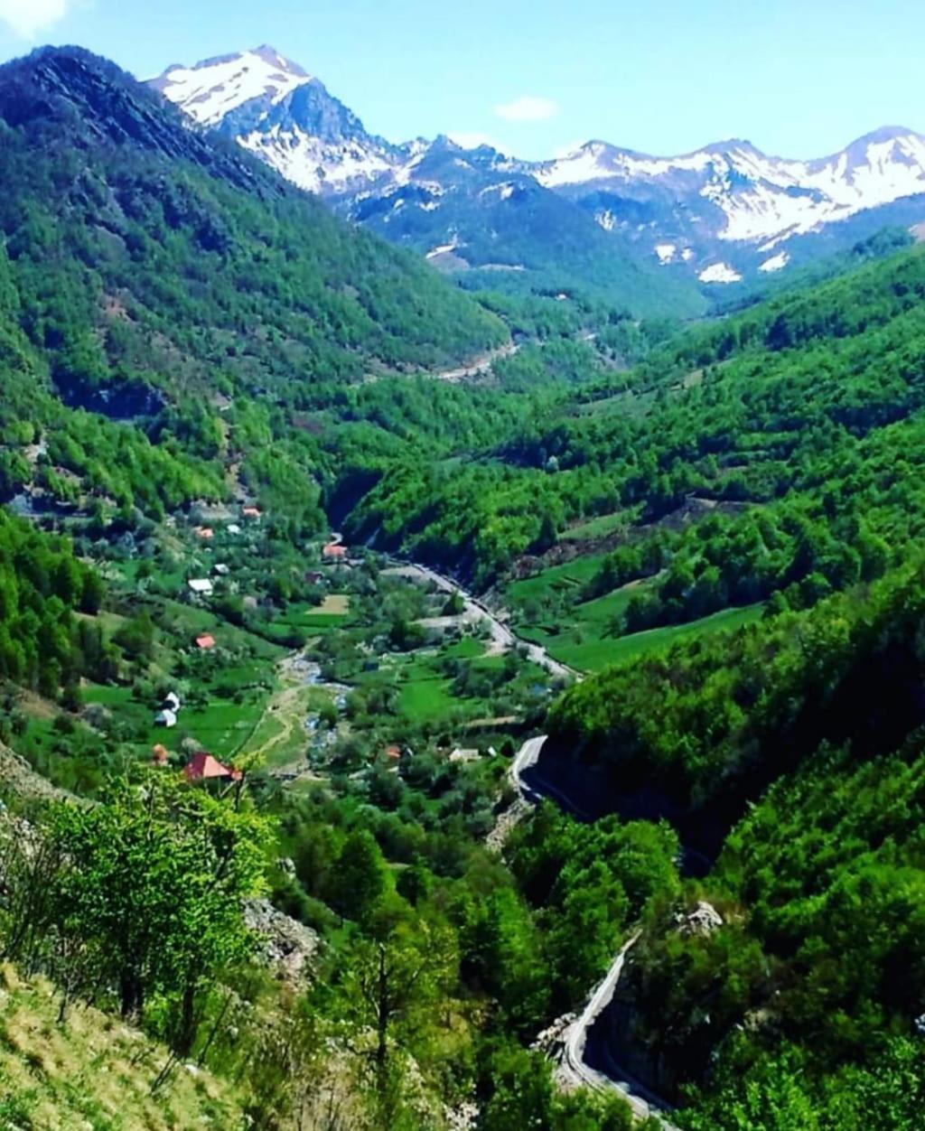 Vilat Pllumaj