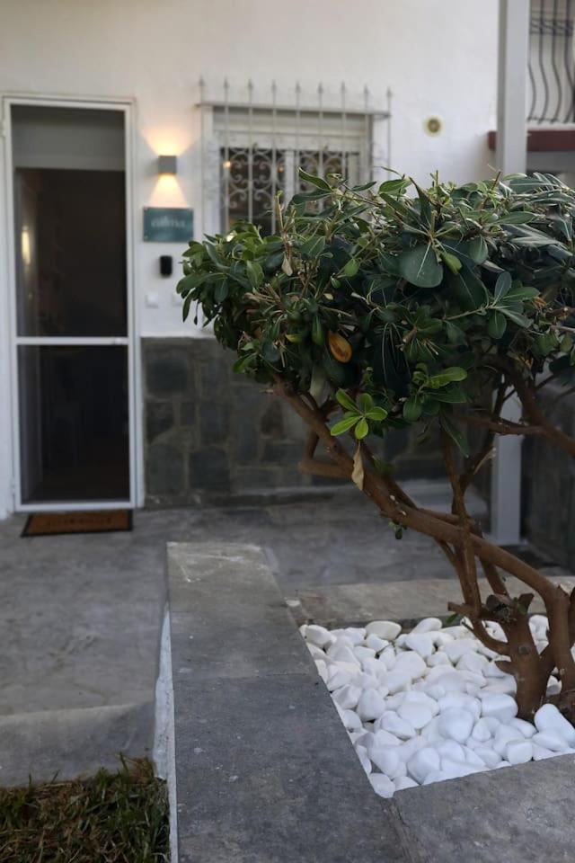 Calma Resort