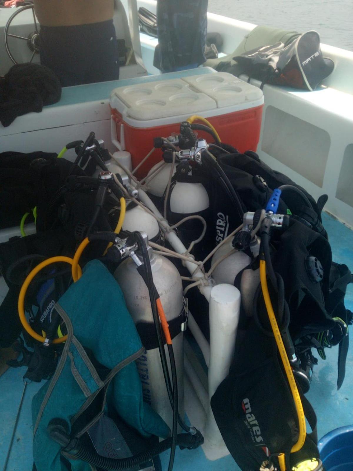 Photo 19