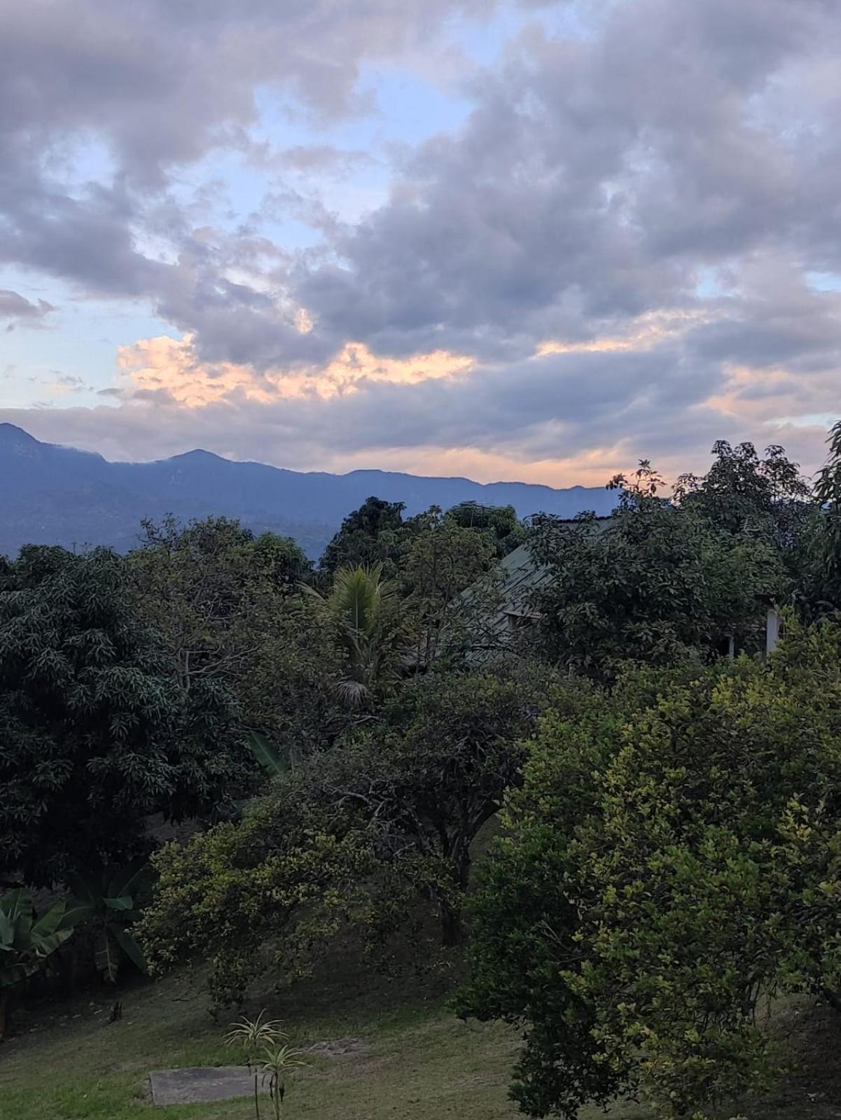 finca las palmas