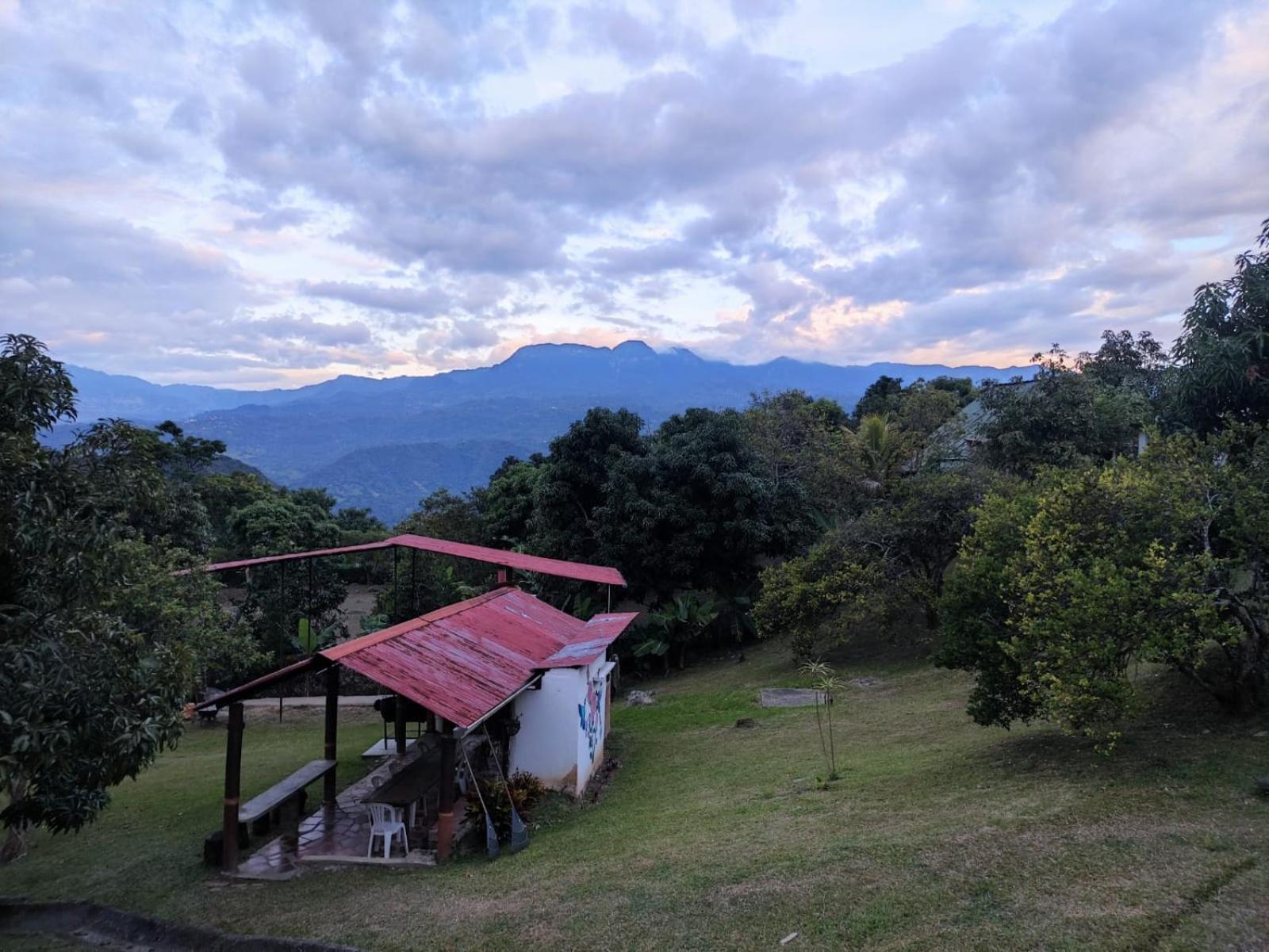finca las palmas