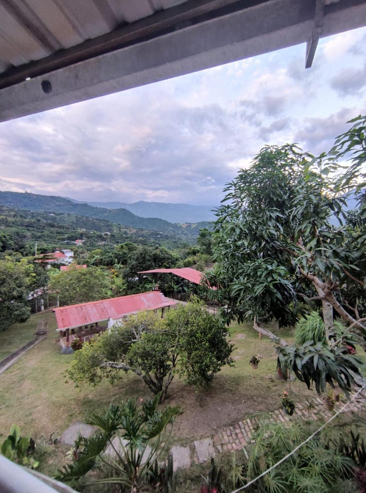 finca las palmas