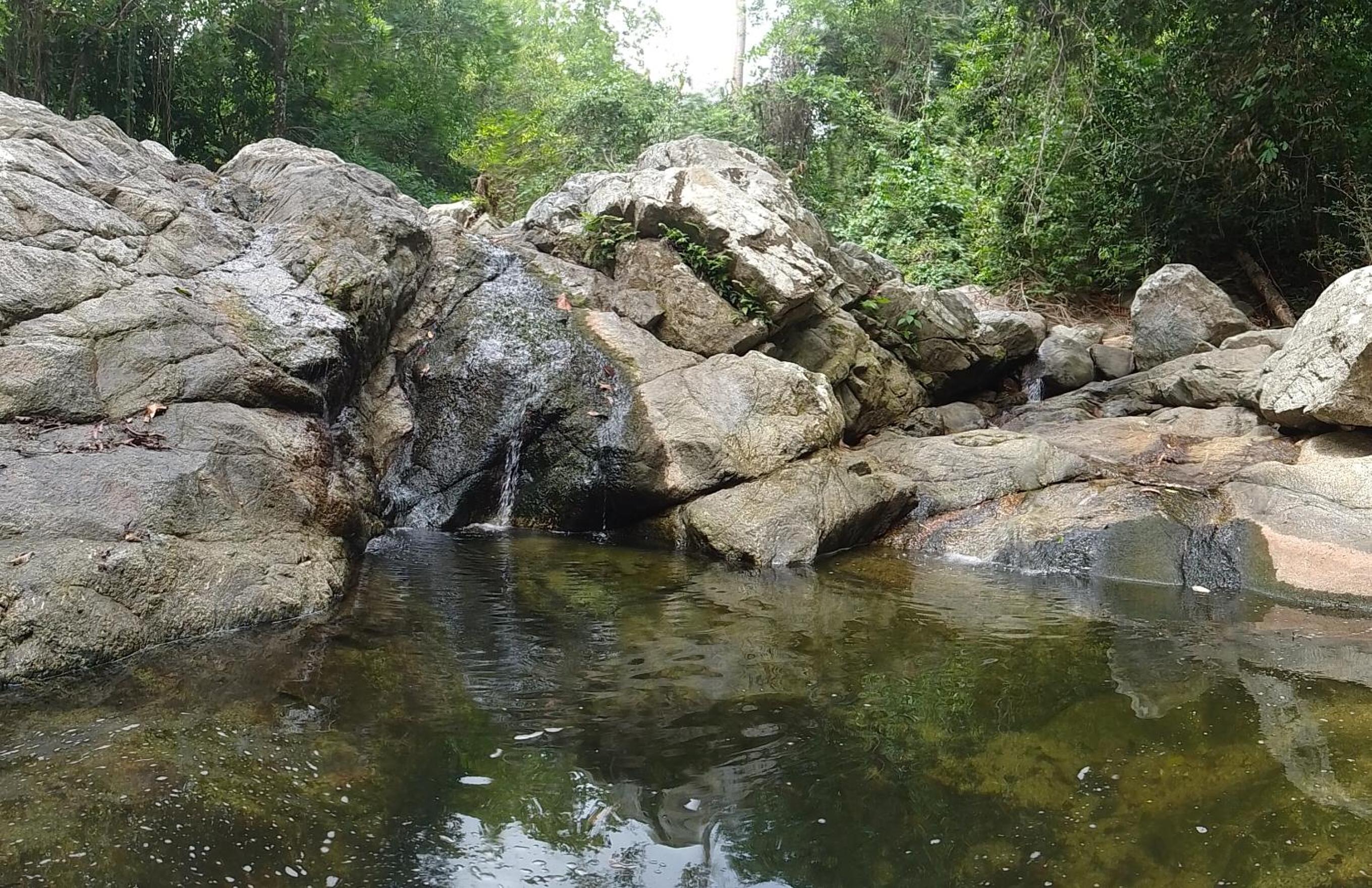 ECOCABAÑAS DIOSA JAGUAR tayrona