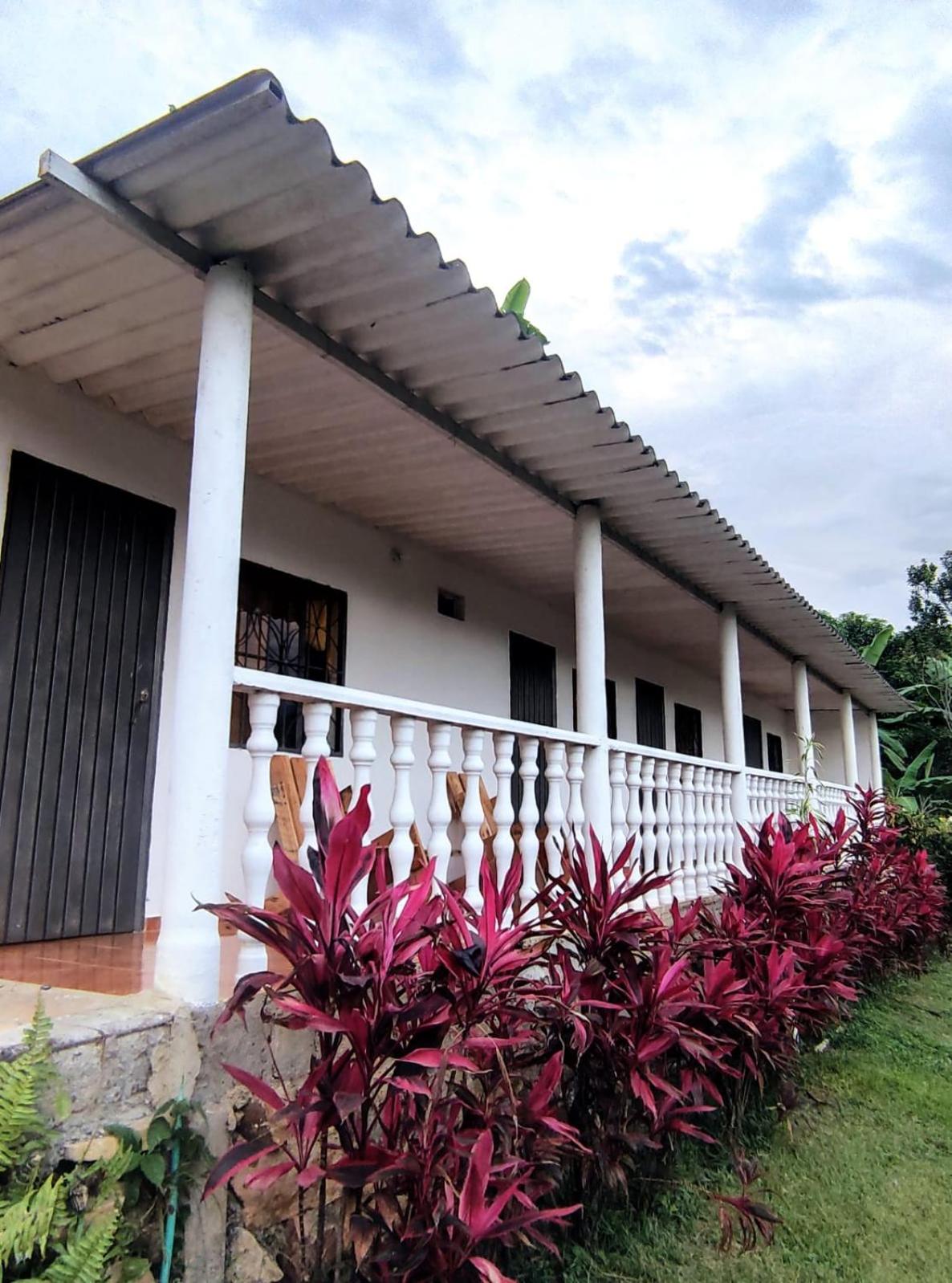 finca las palmas