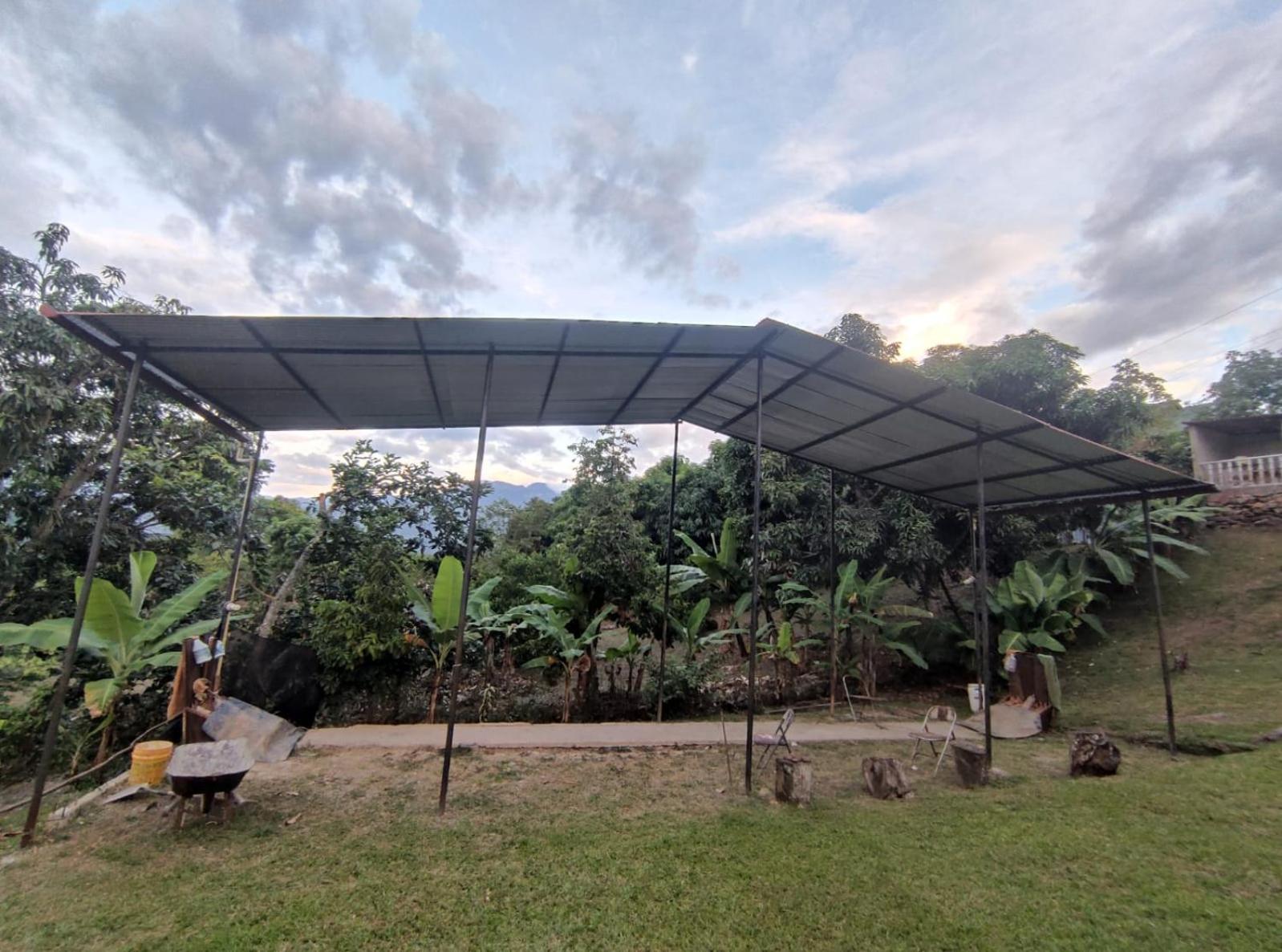 finca las palmas