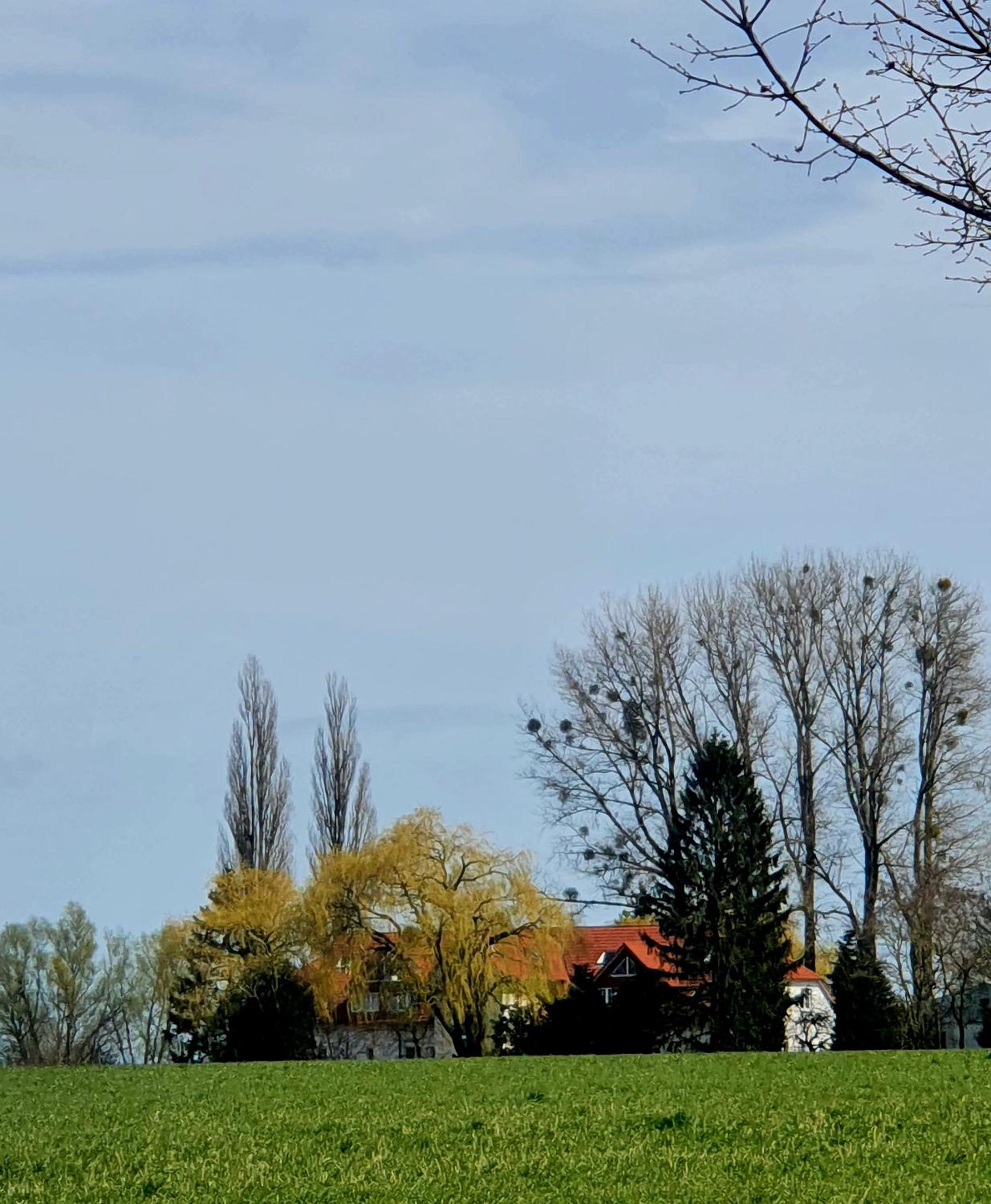 Haus Müritz, FeWo 12 Möwe view 5
