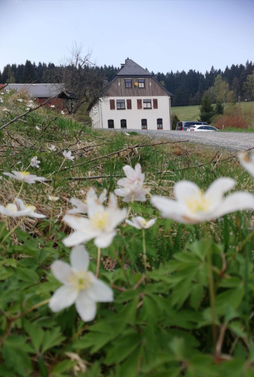 Haus Waldschänke