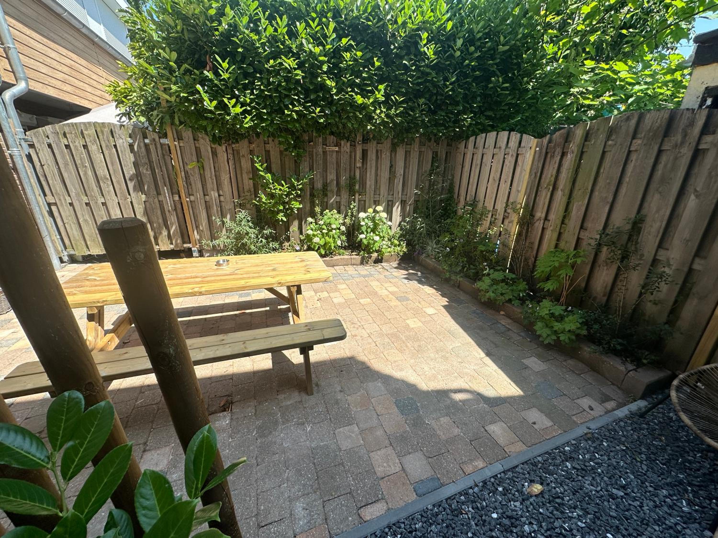 Photo 19