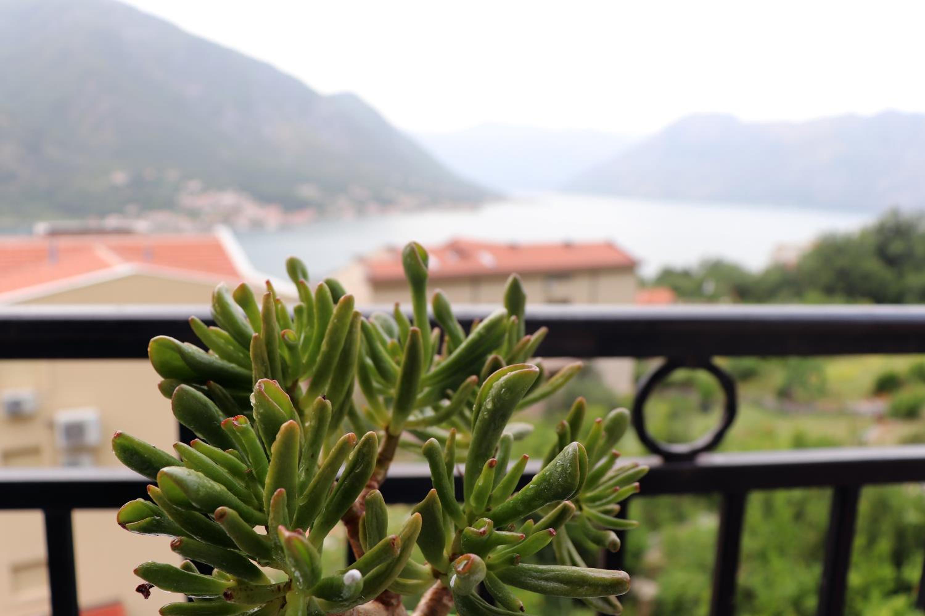 Vista di Cattaro