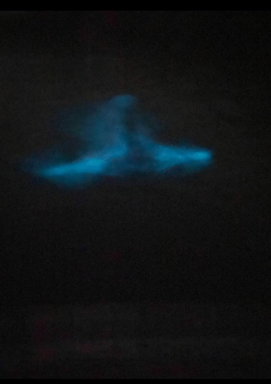Bioluminiscencia Hostel Tours - South