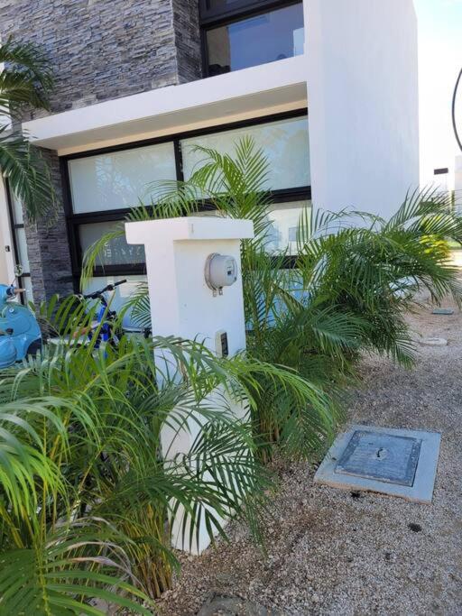 Casa Downtown view 2