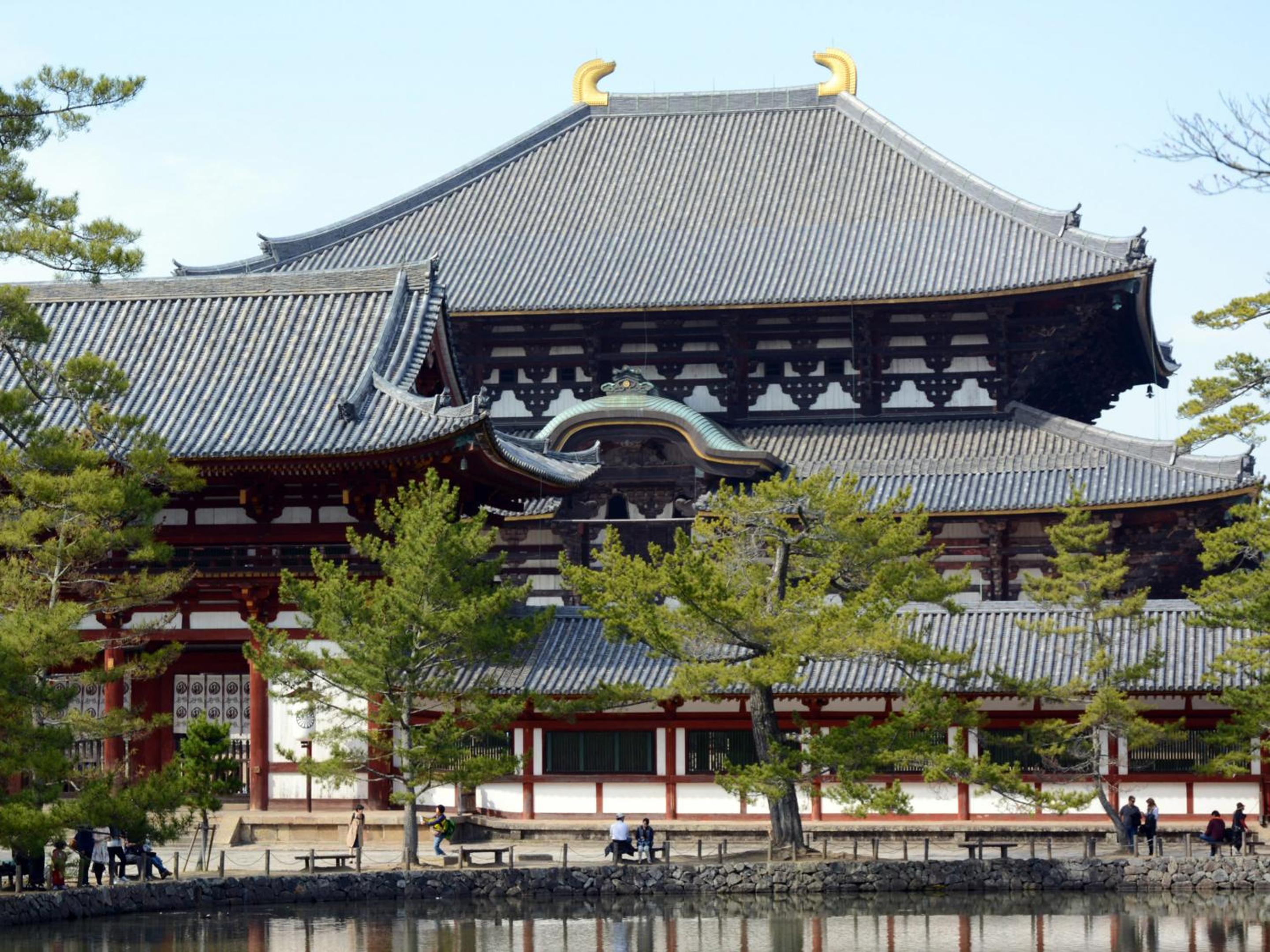 Photo 46