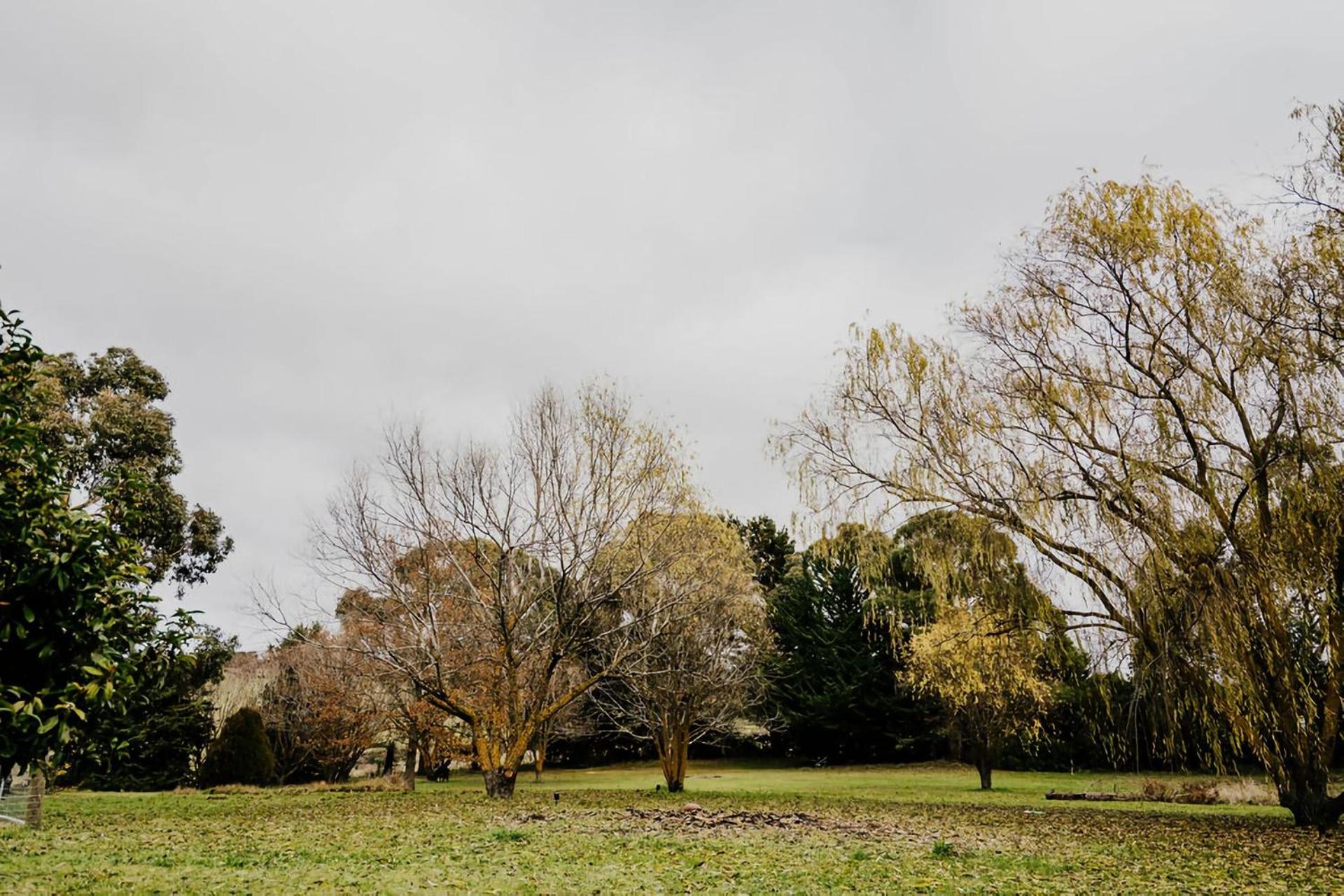 Park Crescent - Daylesford Macedon Region