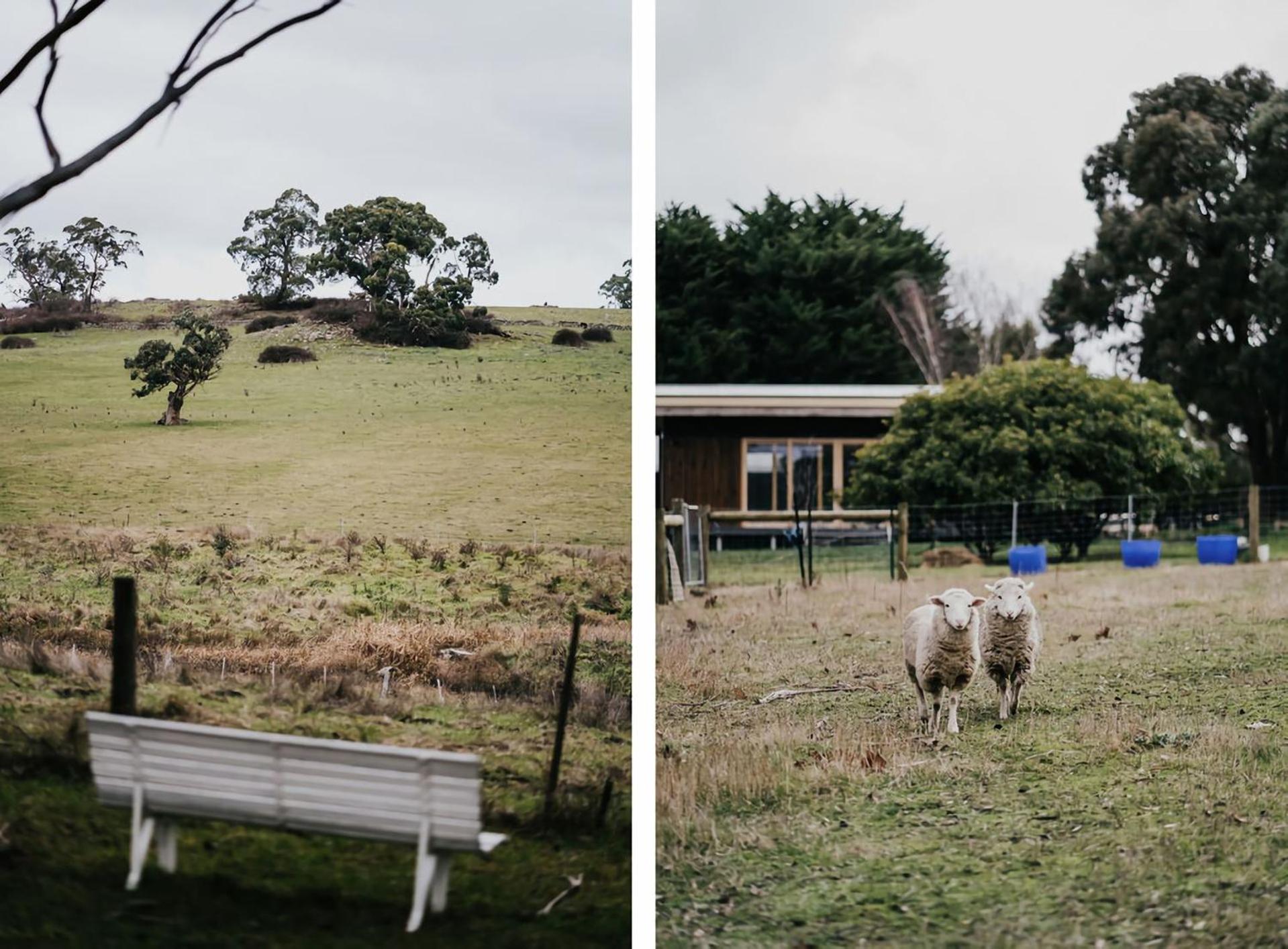 Park Crescent - Daylesford Macedon Region