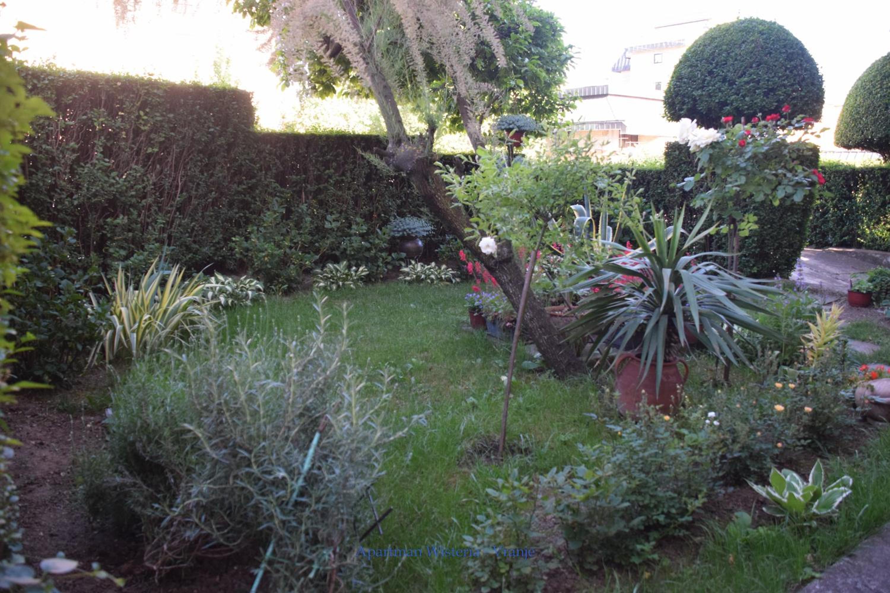 Apartman Wisteria view 2