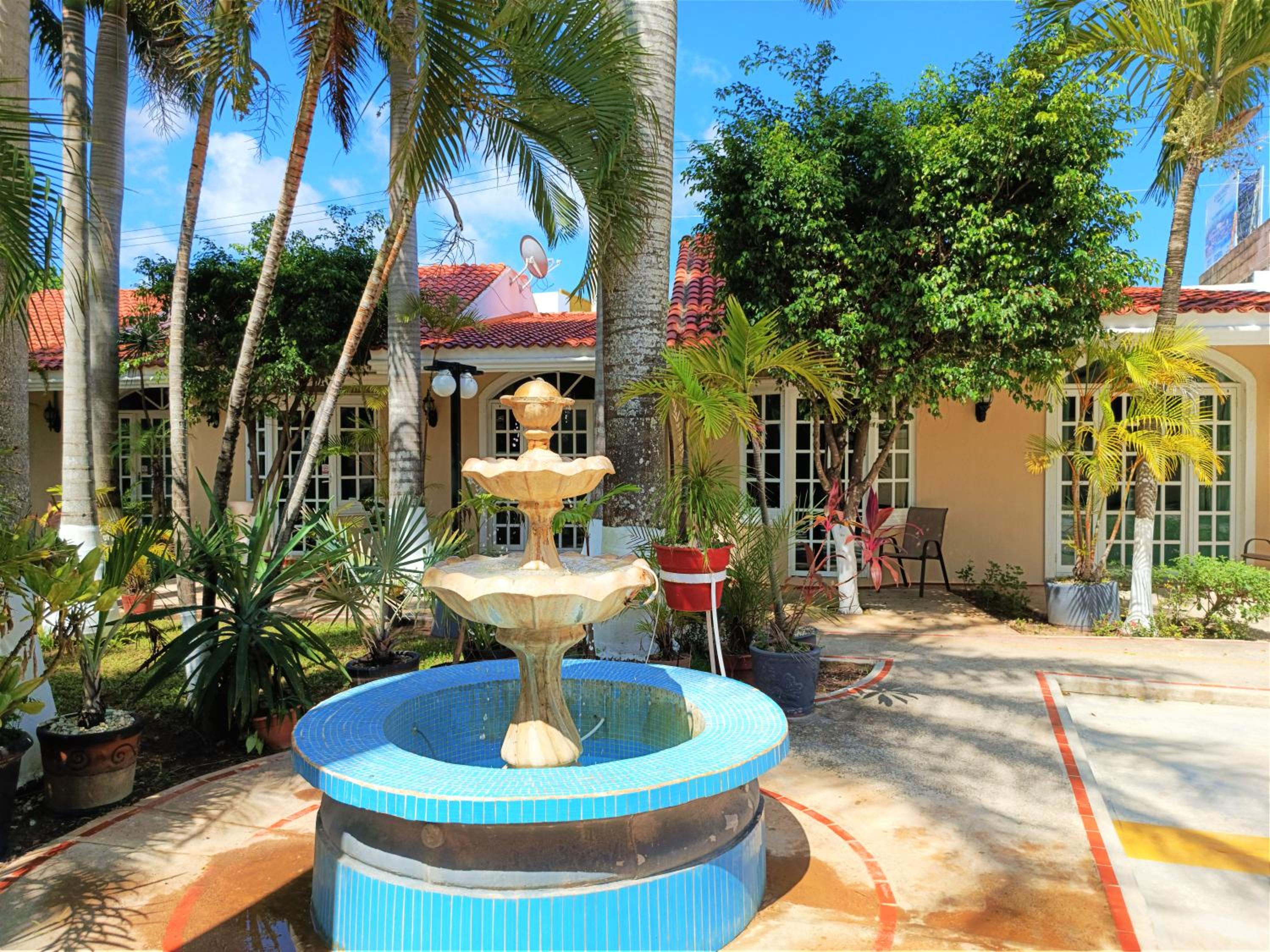 Tulipanes Cancun