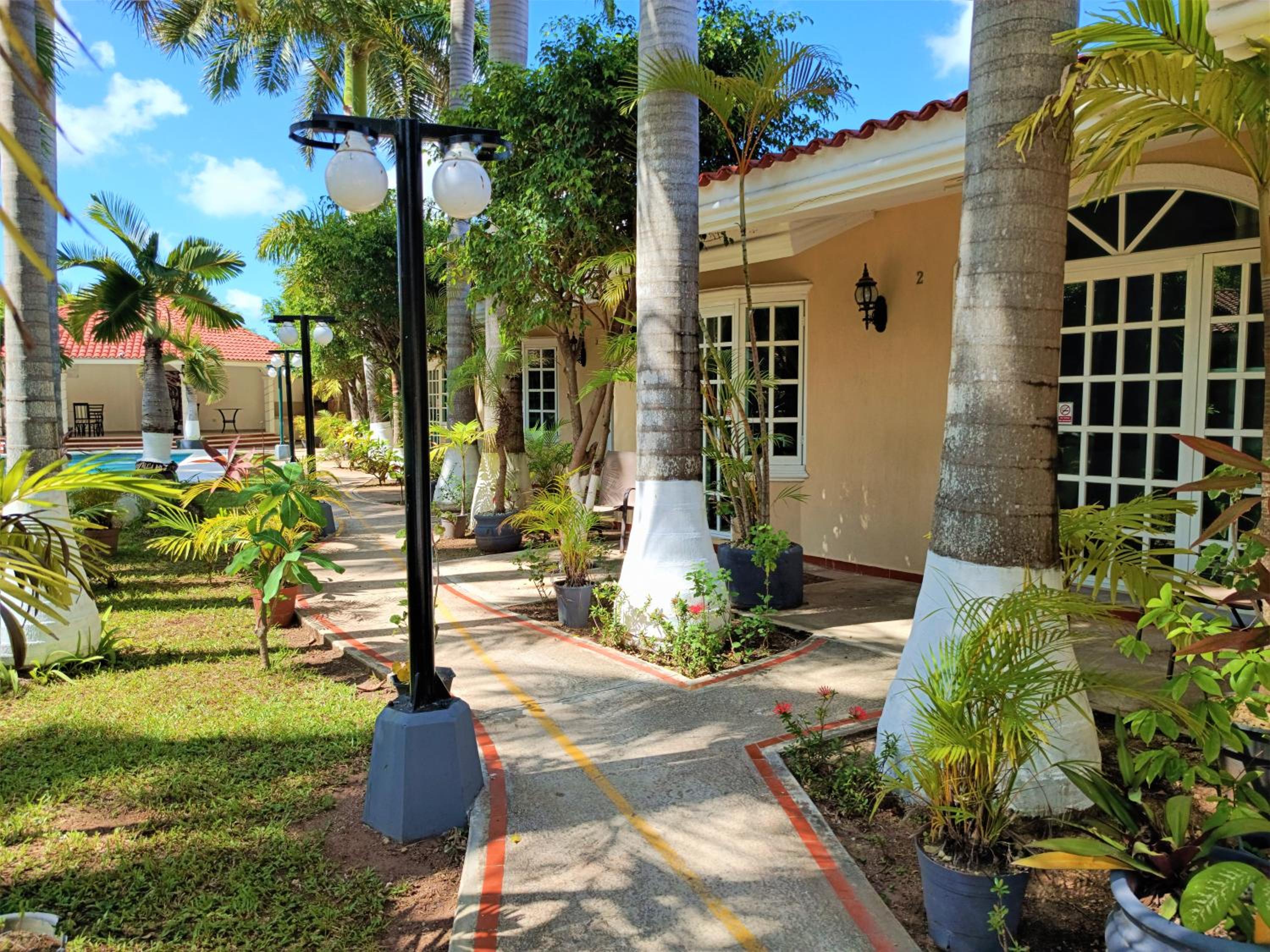 Tulipanes Cancun