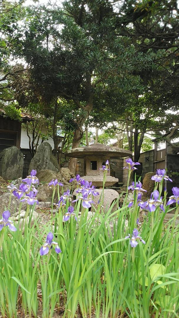 Minshuku Kitamaebune