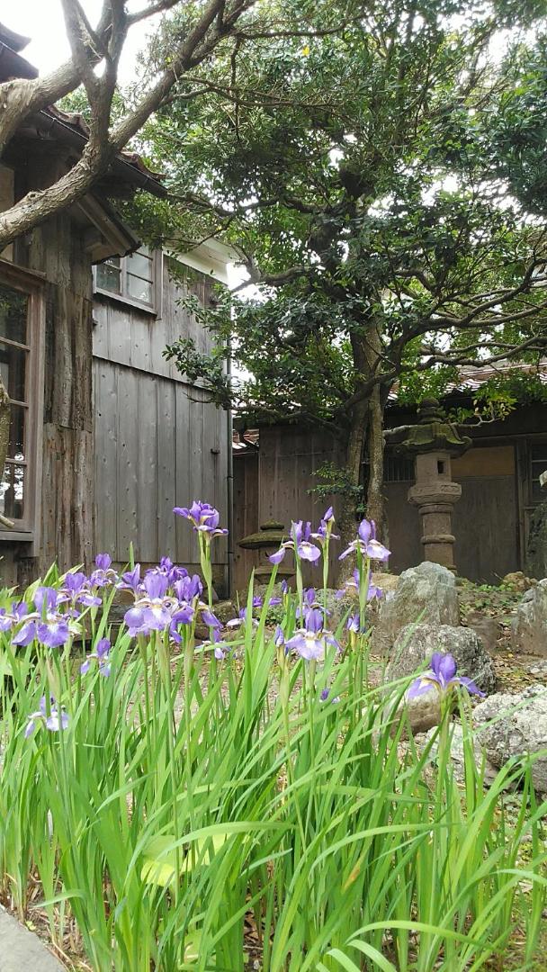 Minshuku Kitamaebune