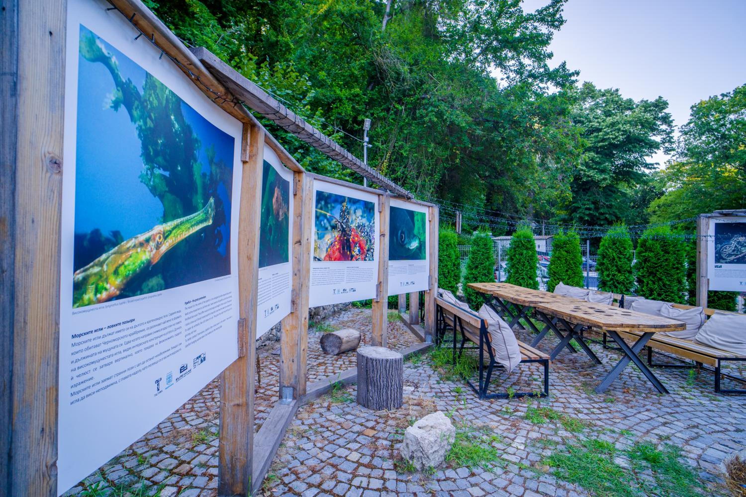 Къщички Синьо лято, Черноморец - Варна - Blue Summer Houses Varna