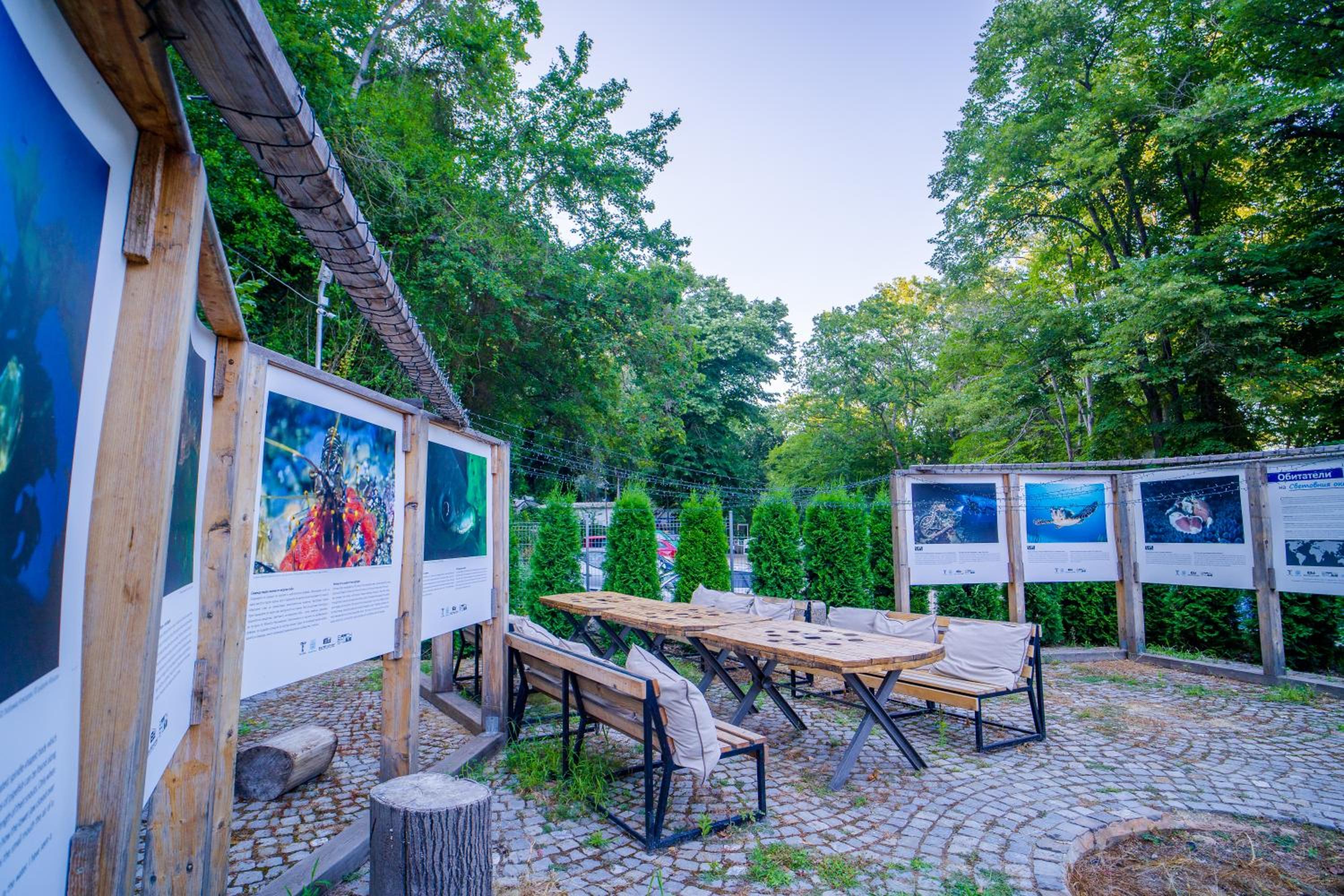 Къщички Синьо лято, Черноморец - Варна - Blue Summer Houses Varna