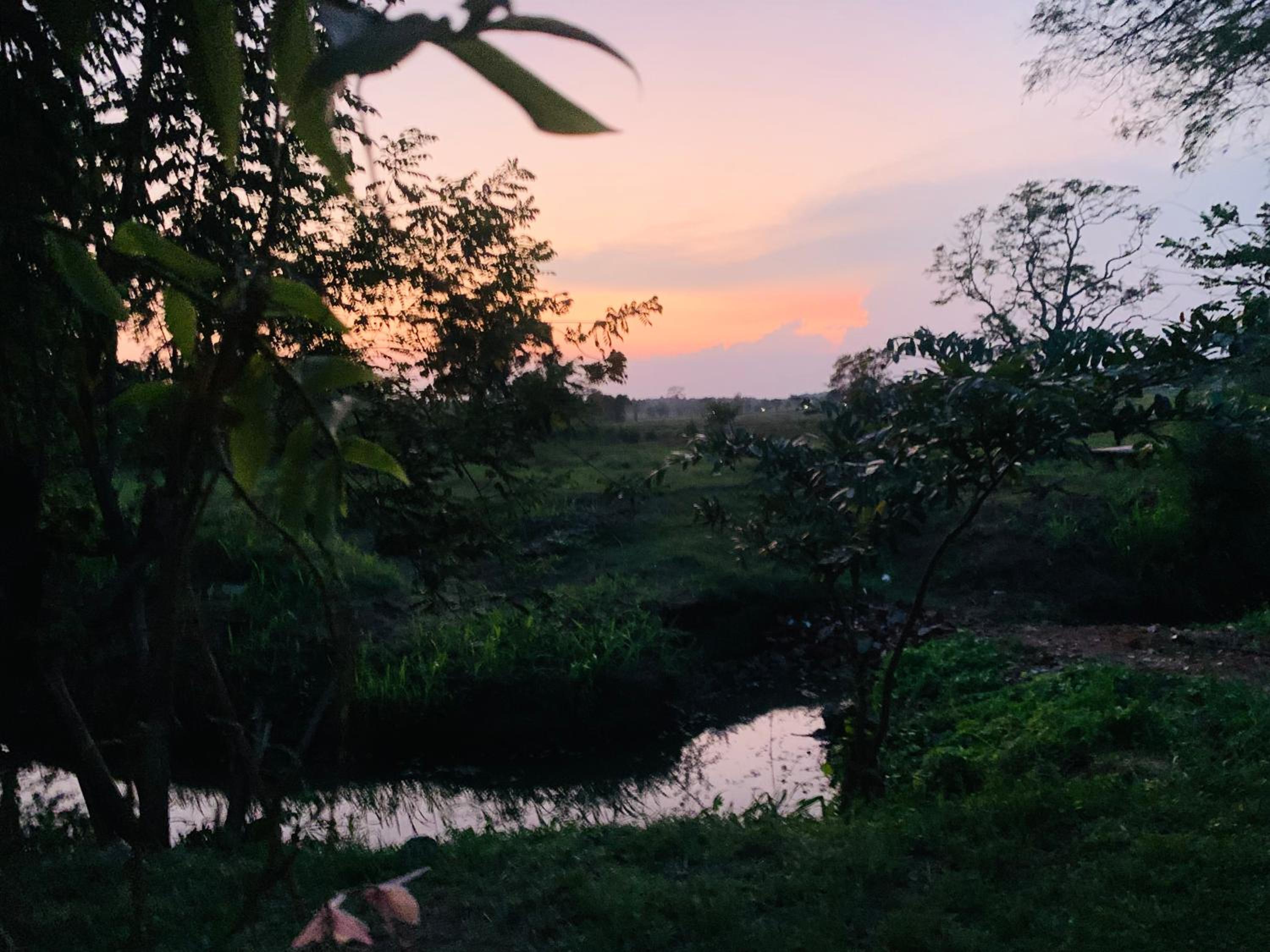 Thanamal-villa