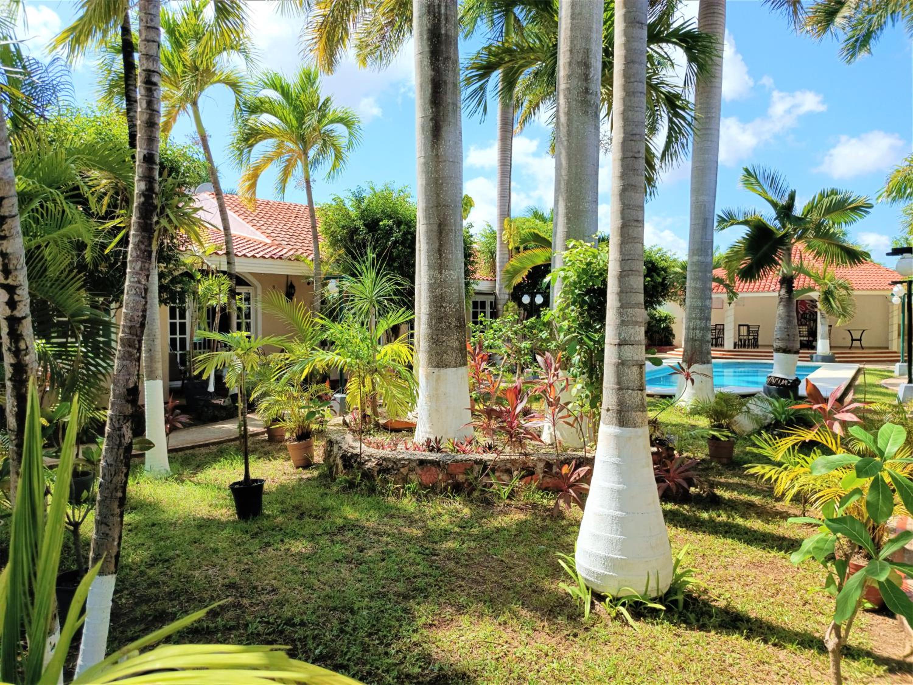 Tulipanes Cancun