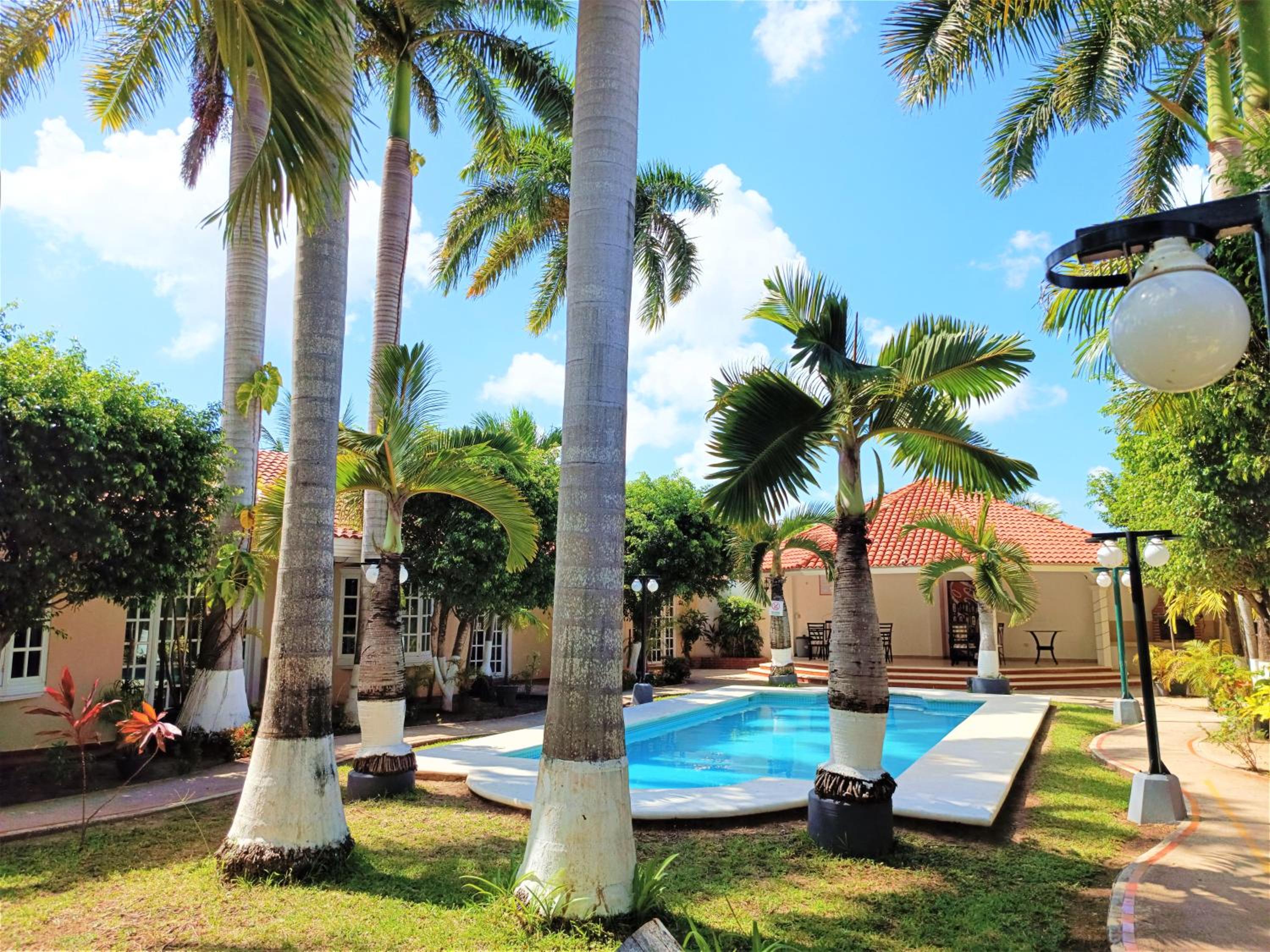 Tulipanes Cancun