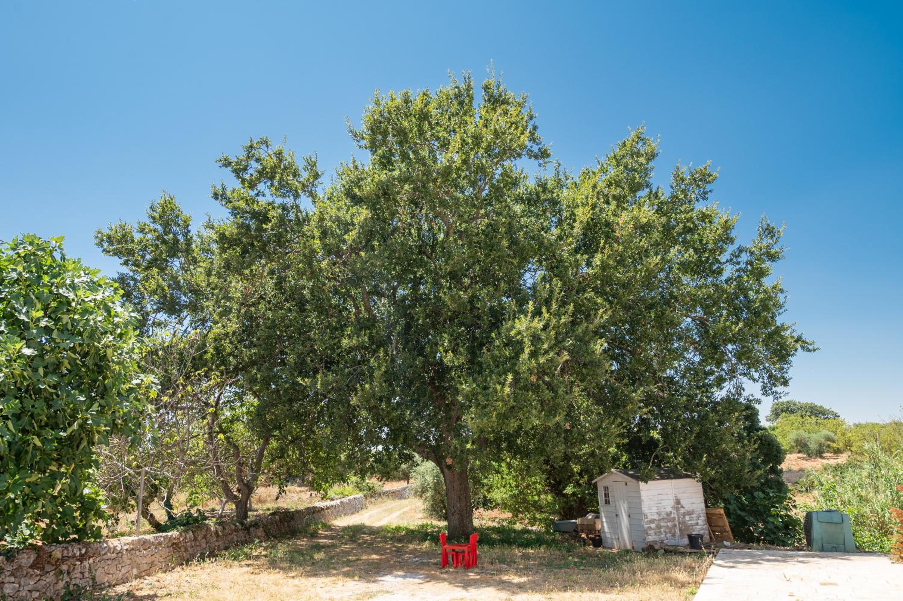 Photo 27
