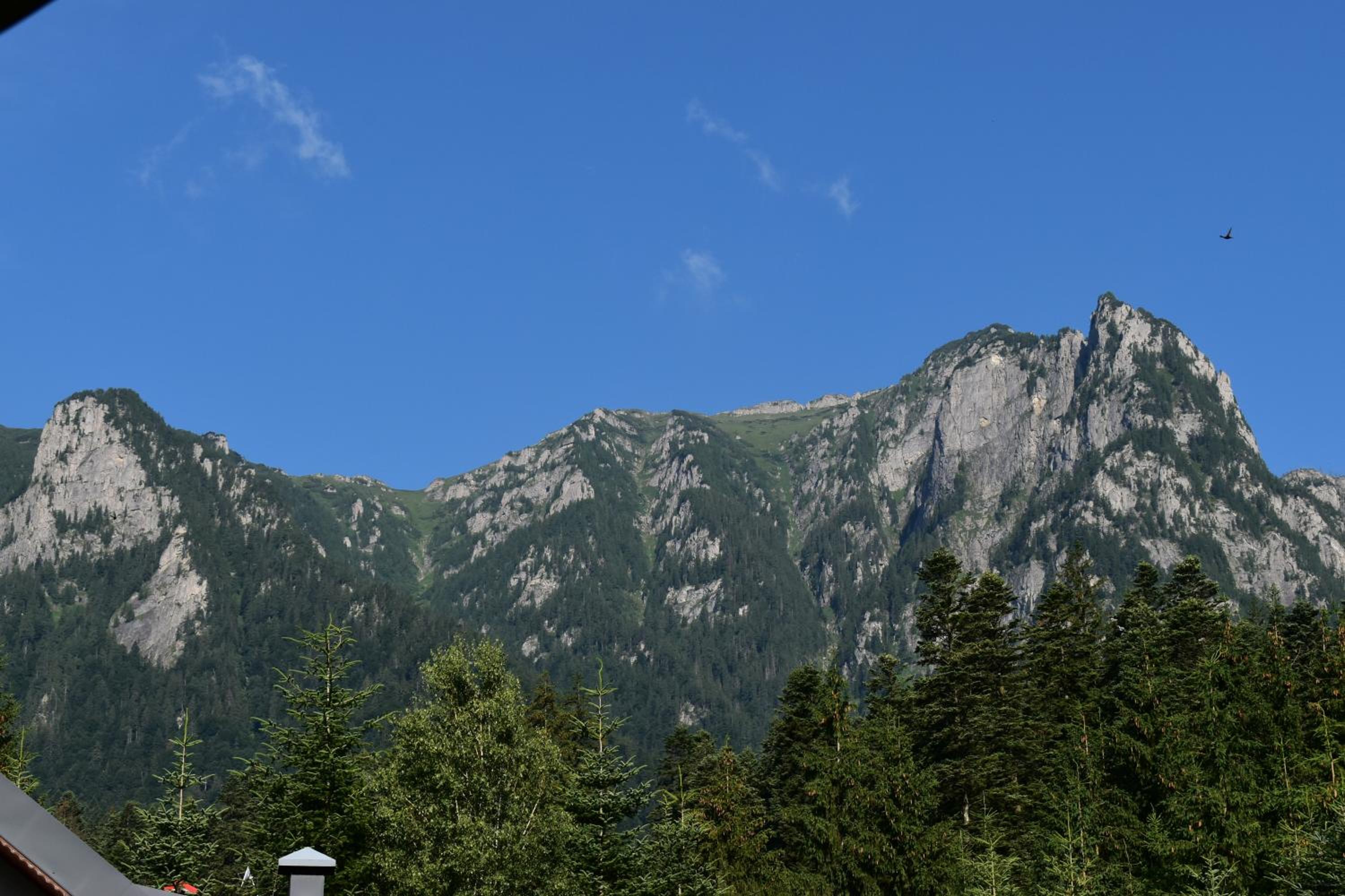 Photo 46