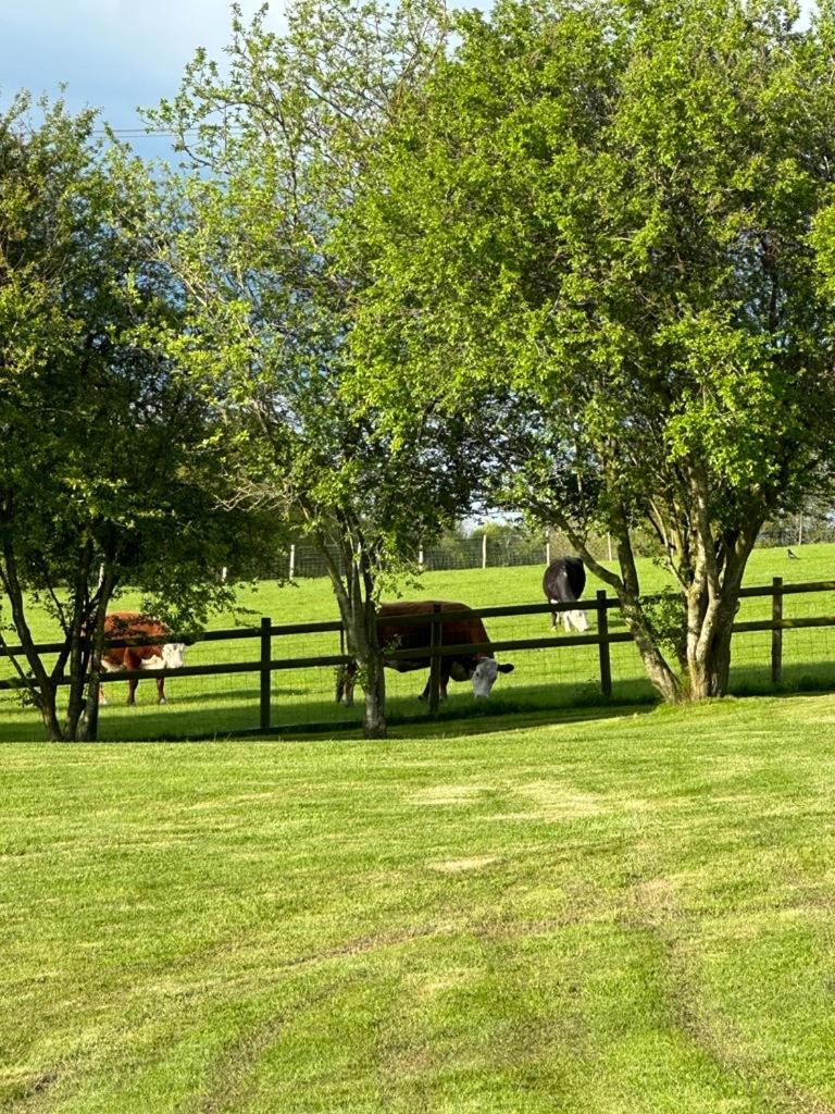 Rivington Barn