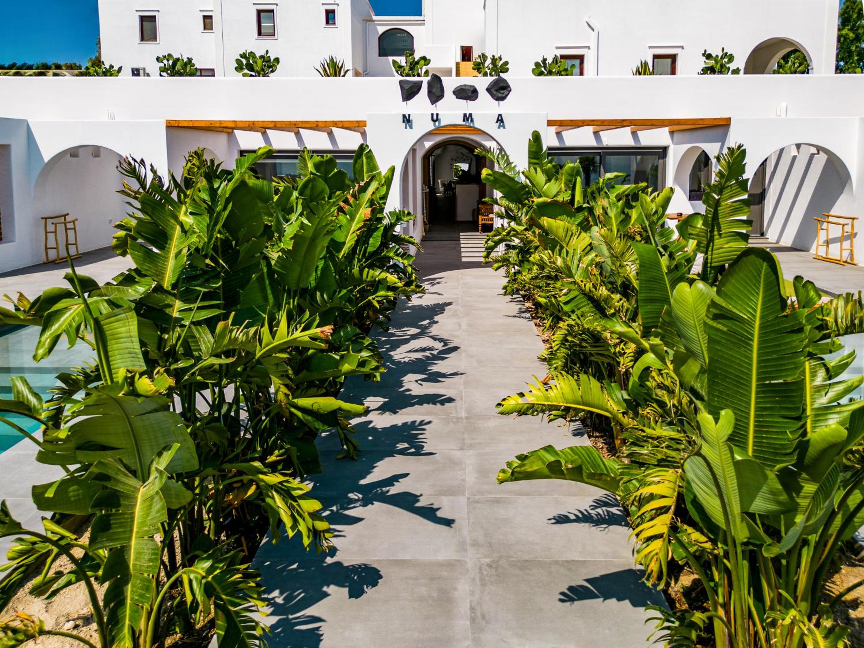Numa Santorini