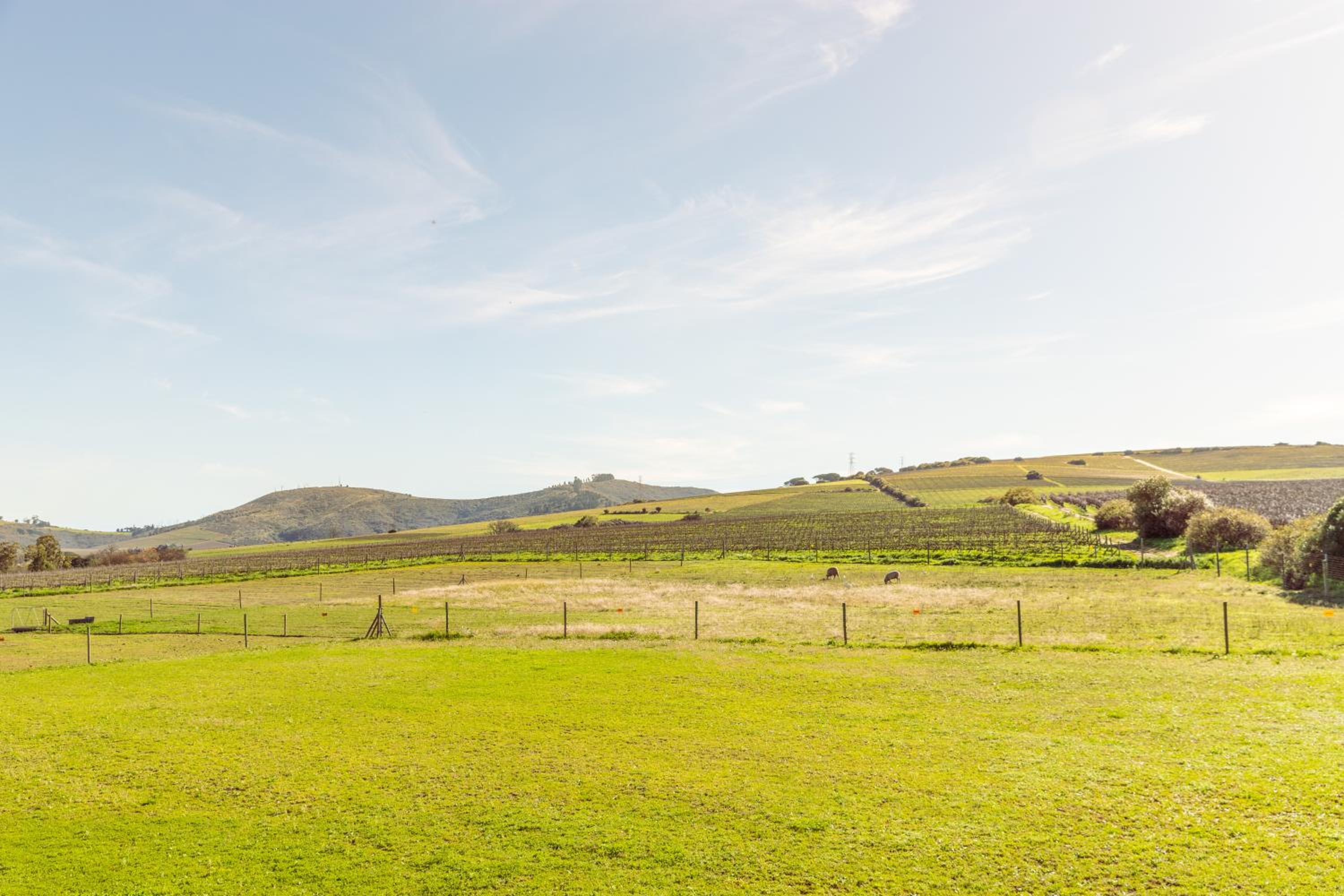 Lovane Boutique Wine Estate and Guesthouse