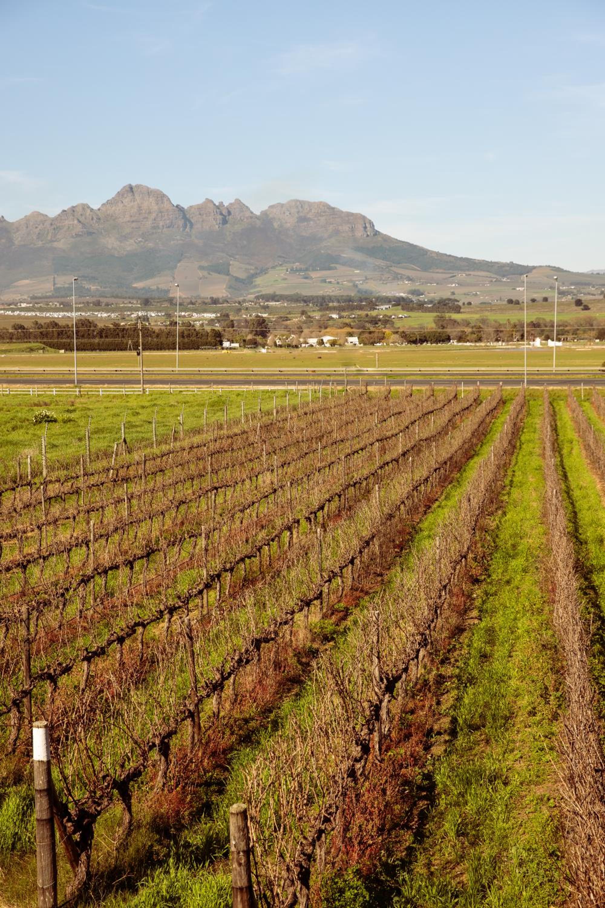 Lovane Boutique Wine Estate and Guesthouse