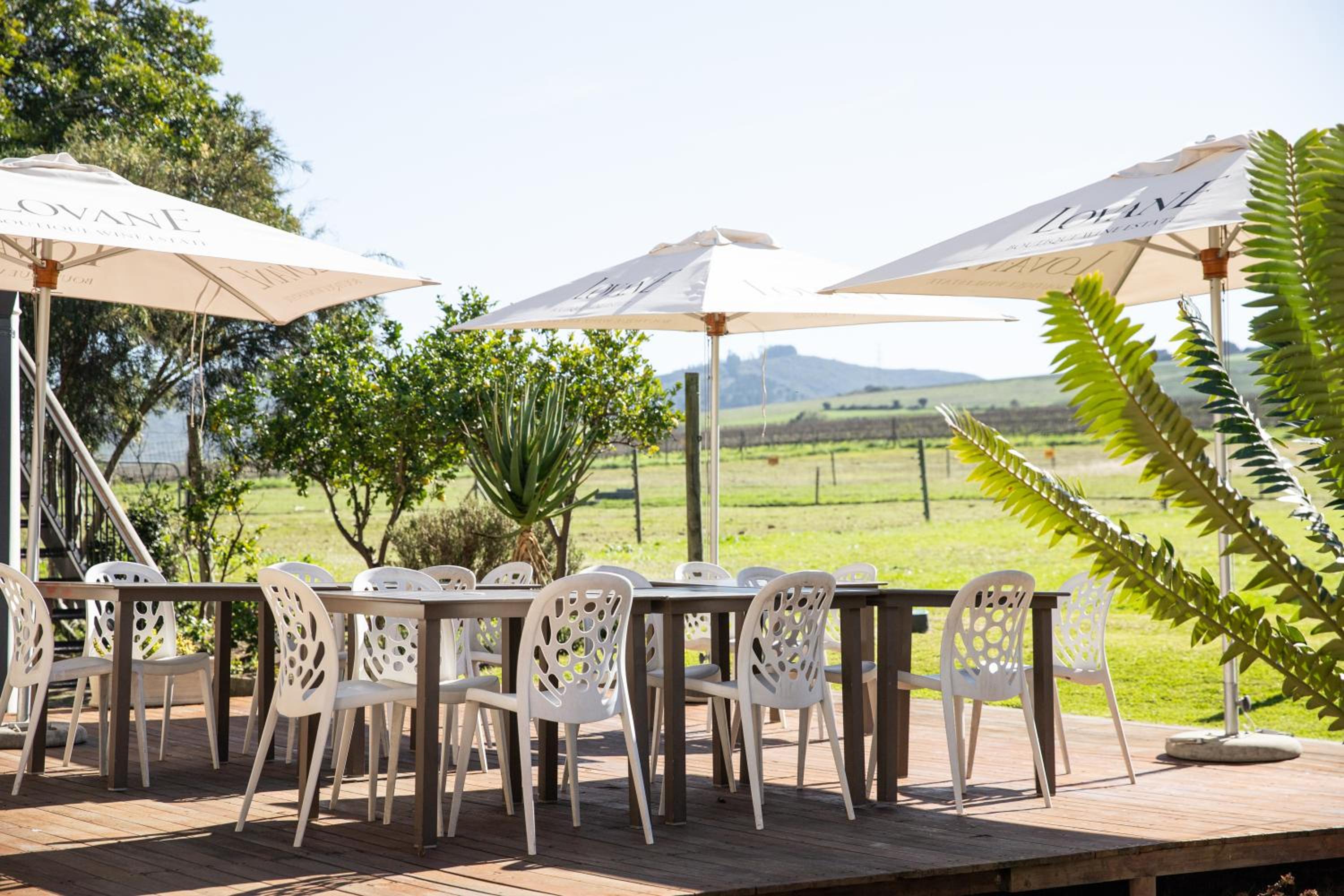 Lovane Boutique Wine Estate and Guesthouse