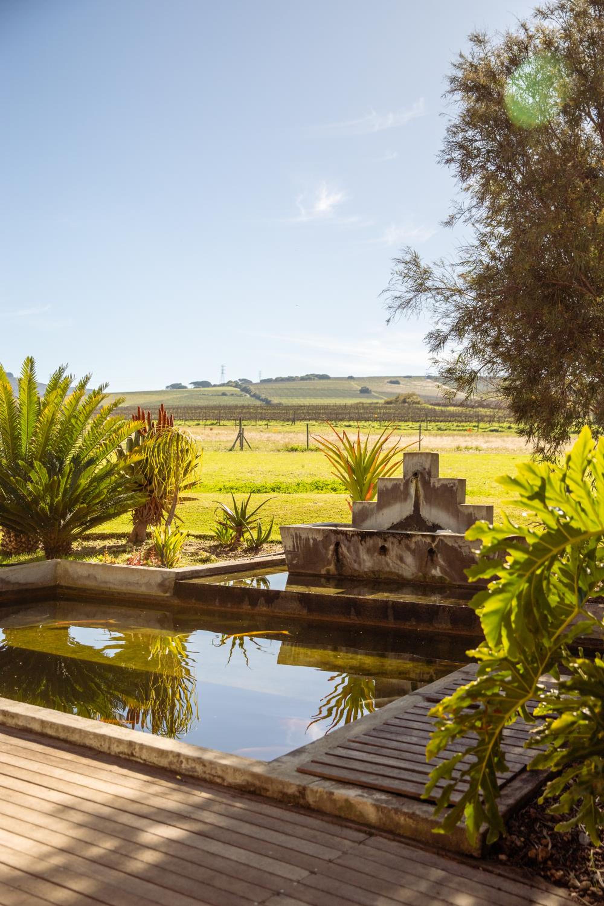 Lovane Boutique Wine Estate and Guesthouse