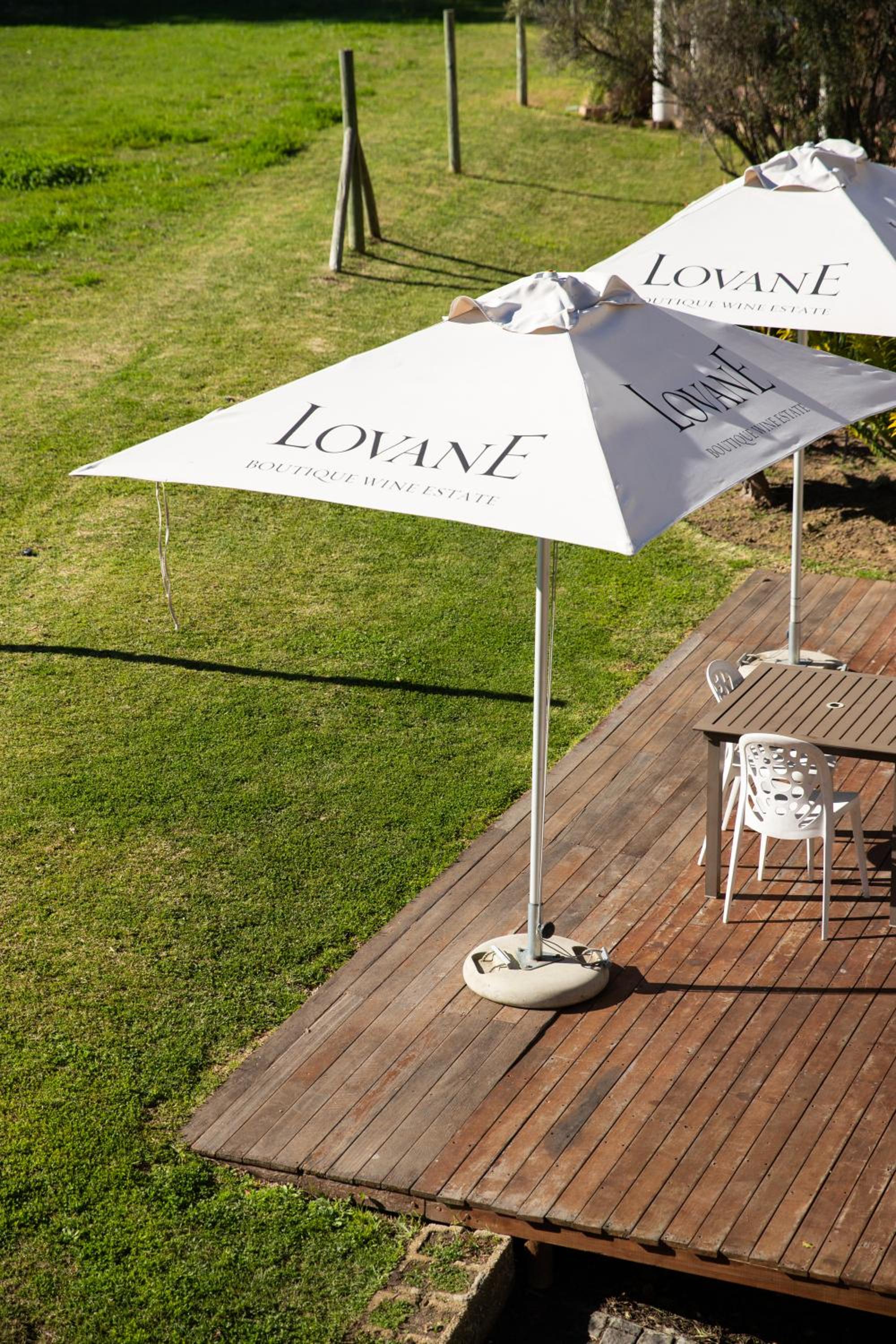 Lovane Boutique Wine Estate and Guesthouse