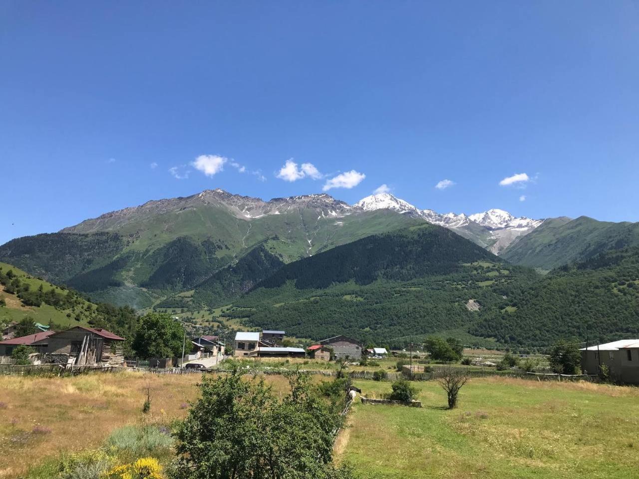 Ninama