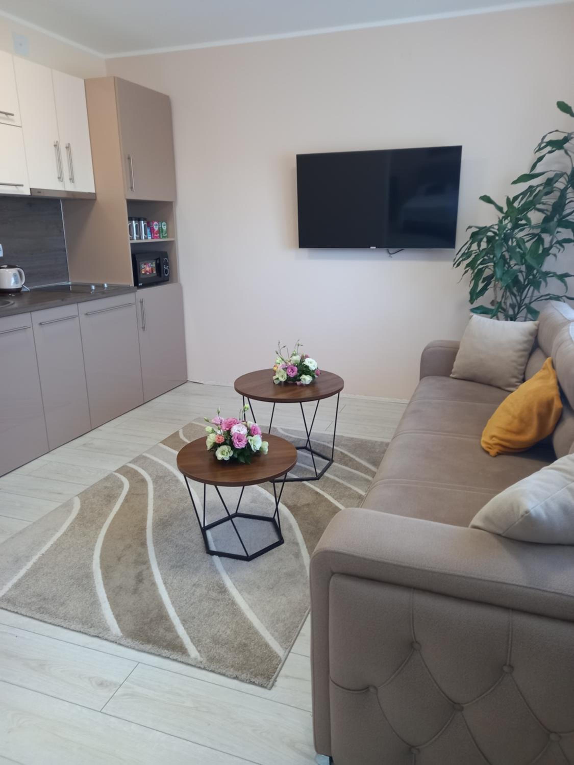 LEDA Apartmani view 2
