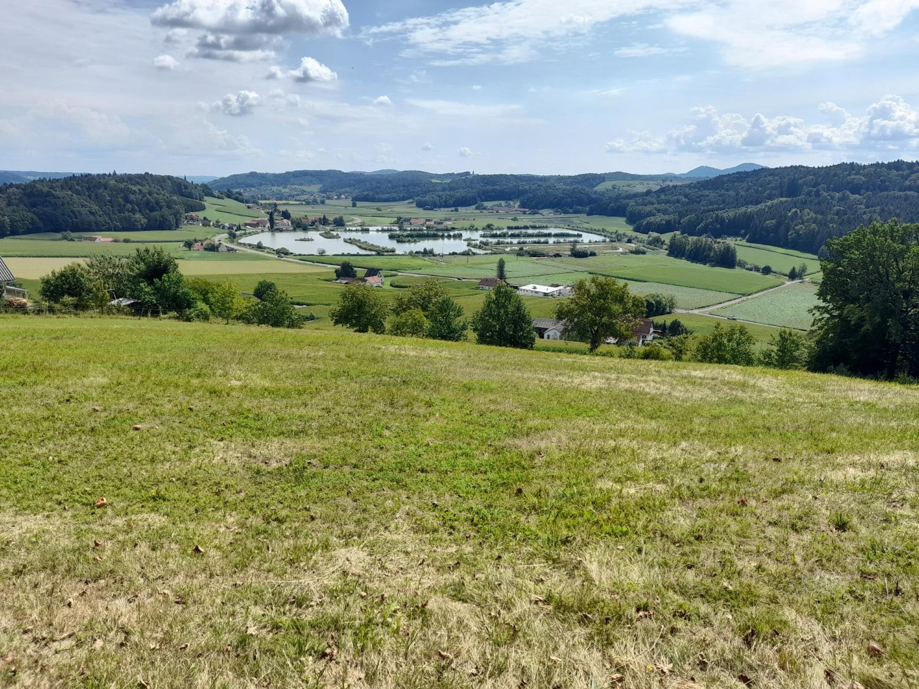 G5 - Das Chalet am Waldrand