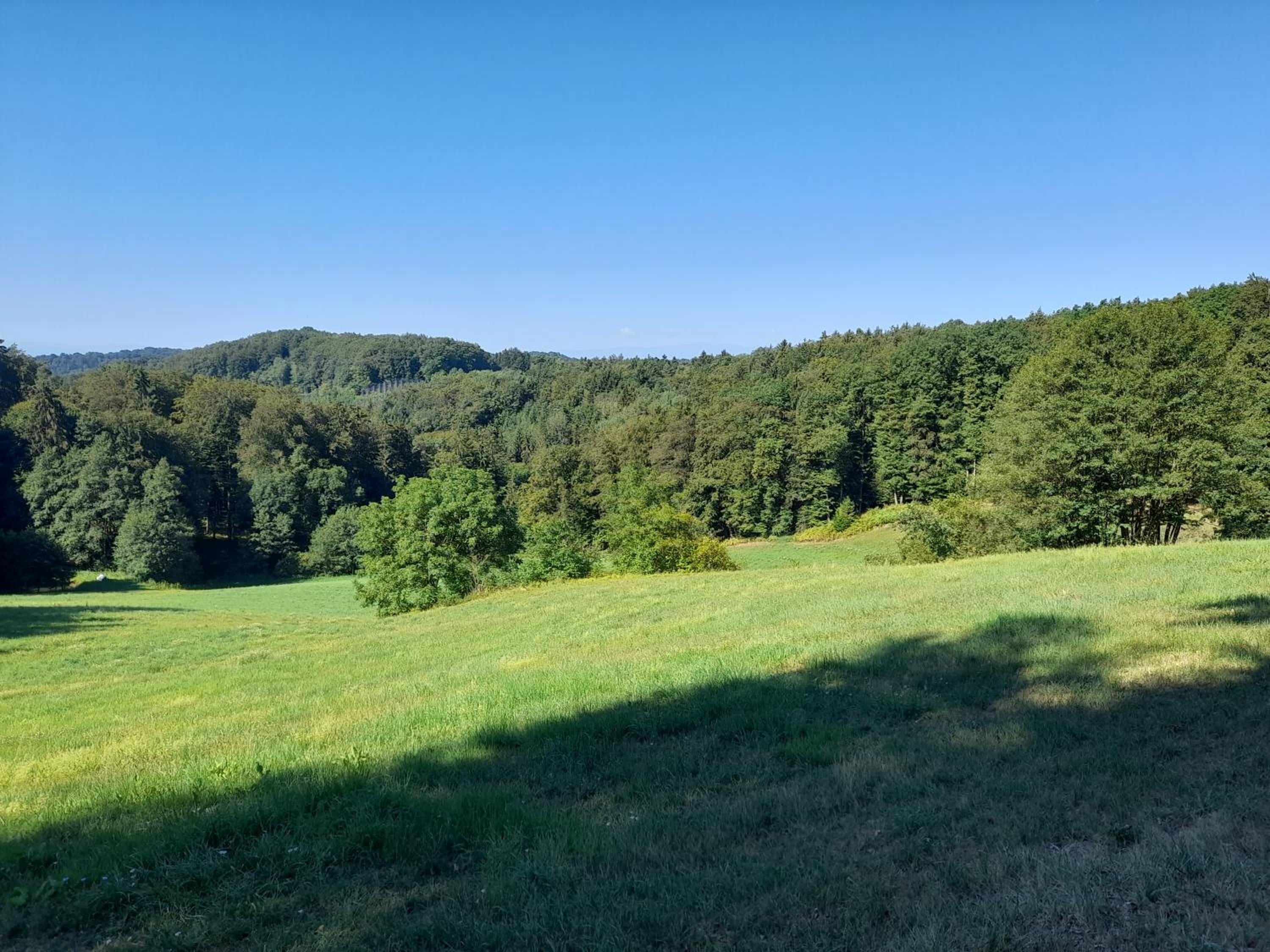 G5 - Das Chalet am Waldrand