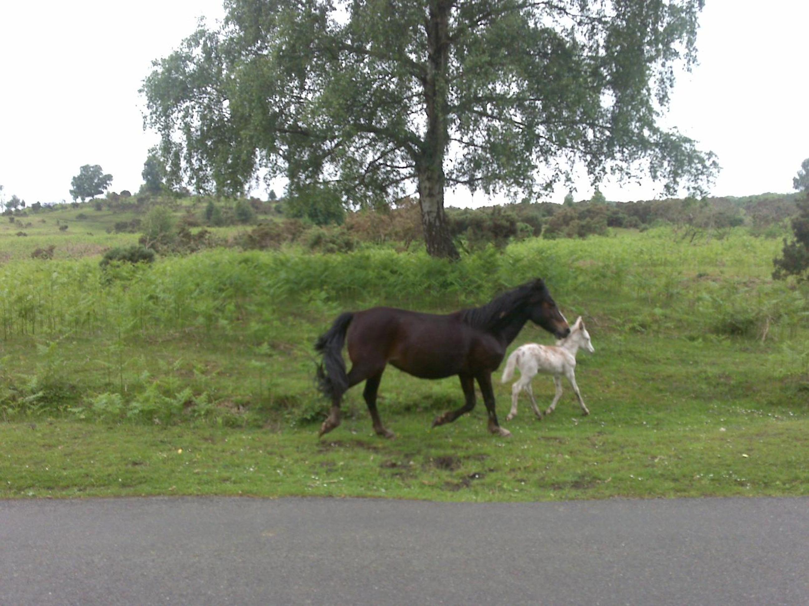 Photo 31