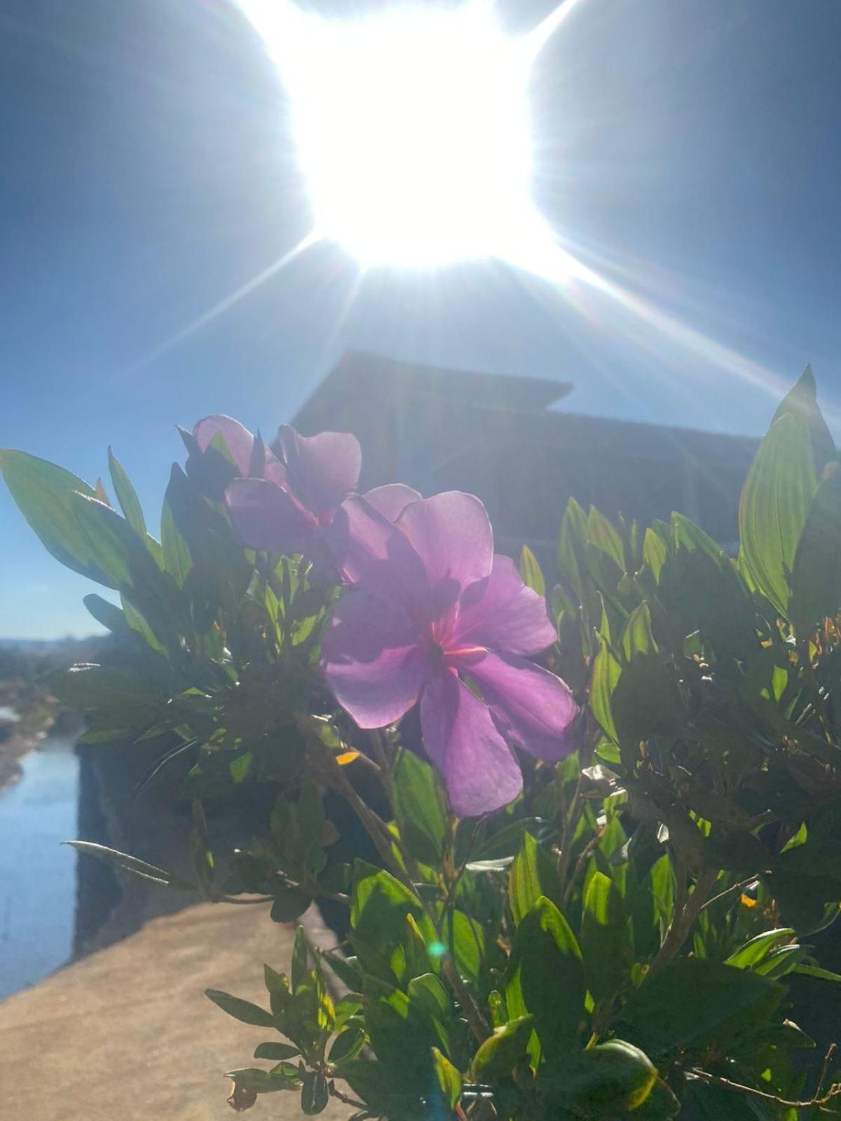Casa de campo completa! Chácara Magnífica!