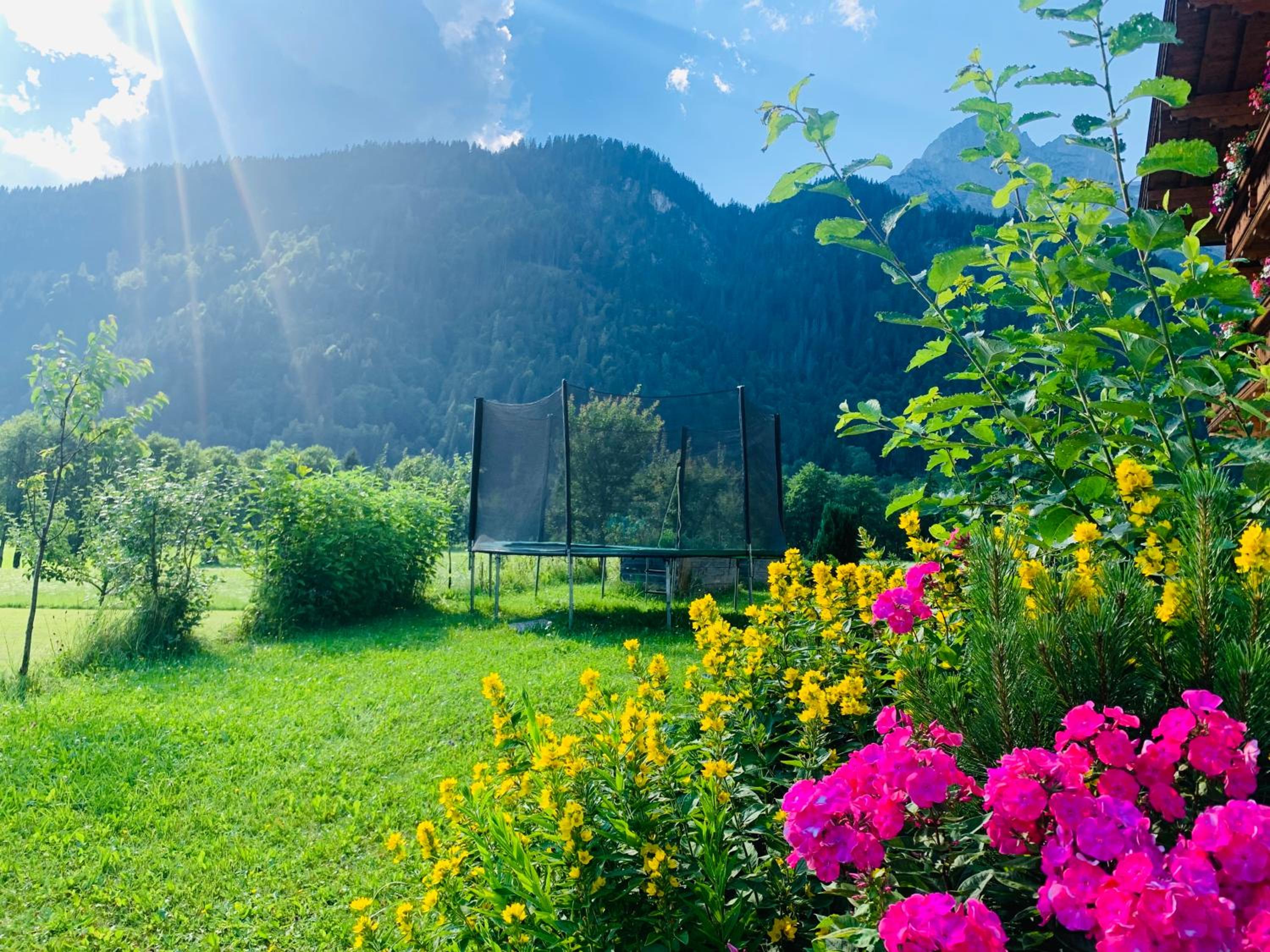 Alpen Appartements Oberlehengut - keine Haustiere - allergikerfreundlich