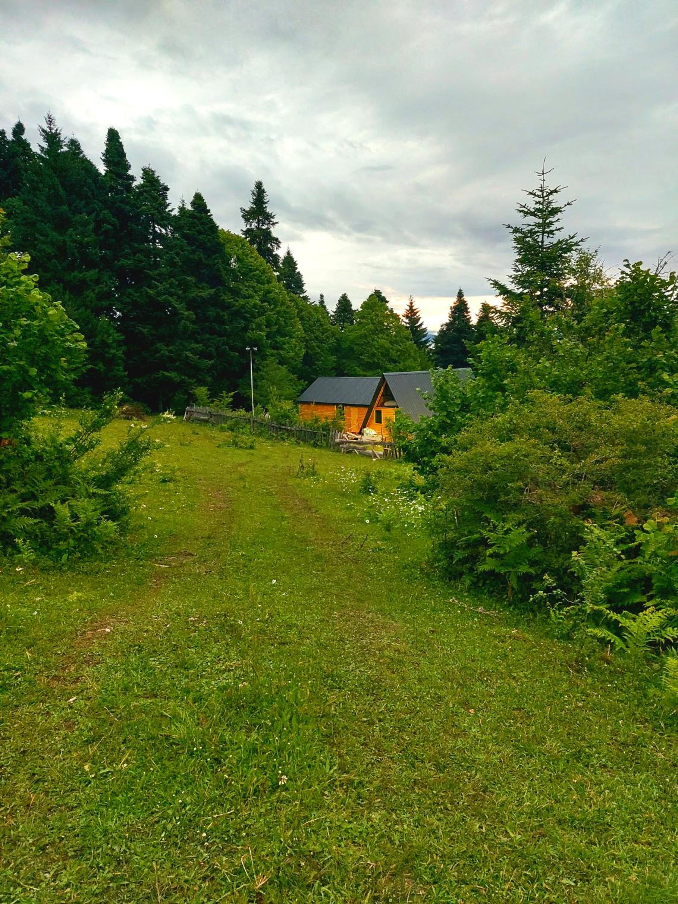 Cottage Mebirashi