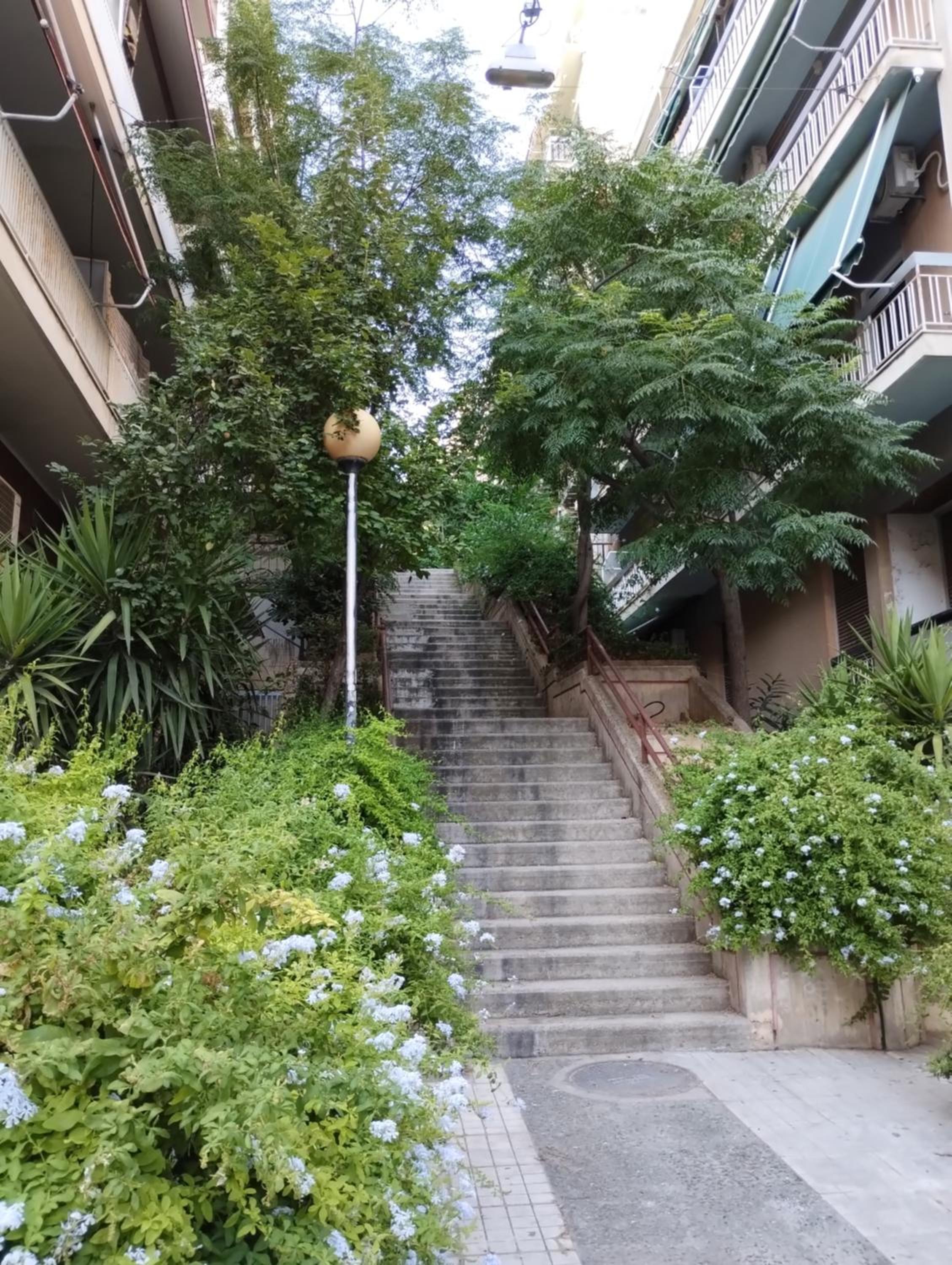 Vasia's cosy apartment in Athens, 