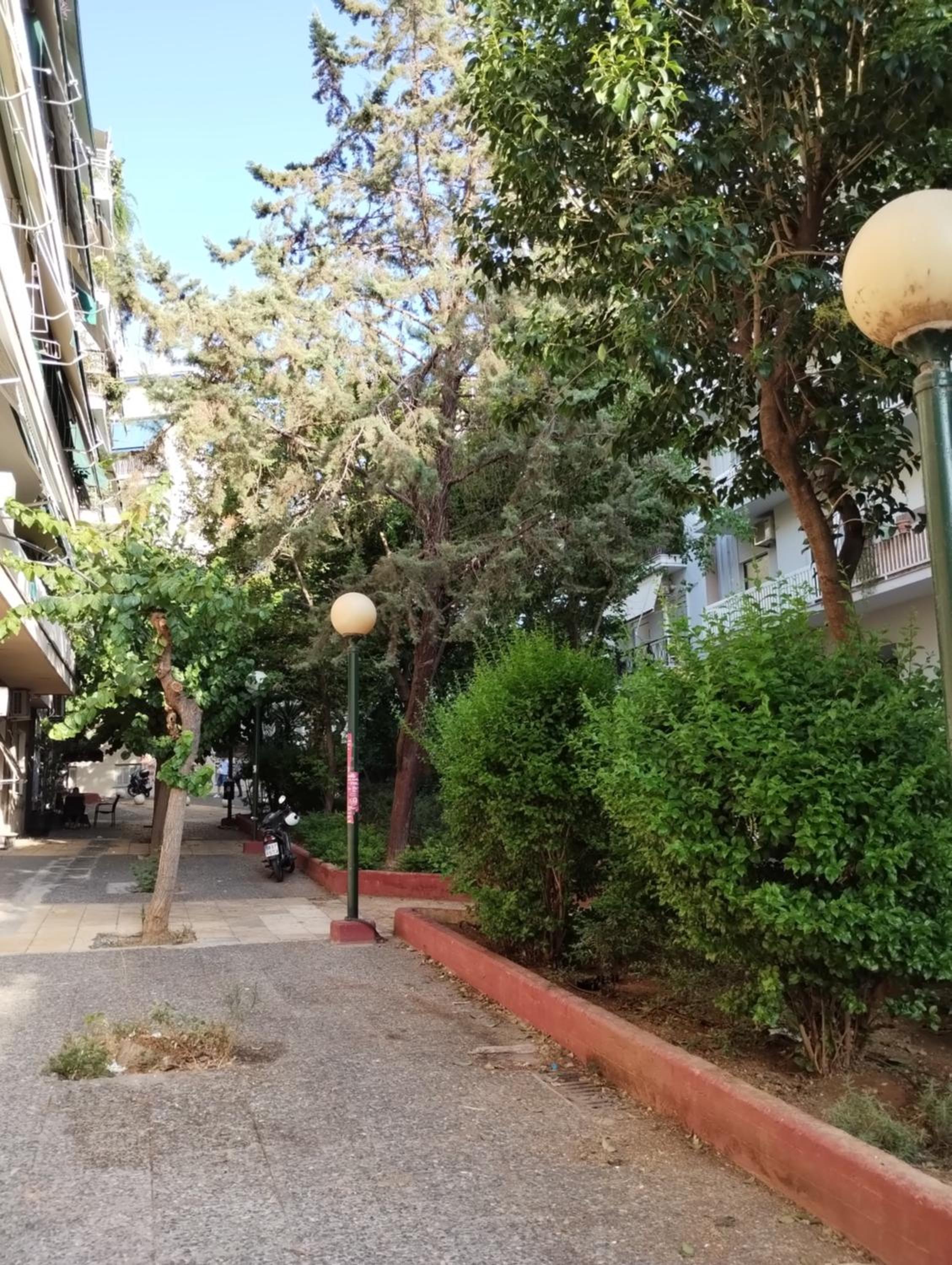 Vasia's cosy apartment in Athens, 